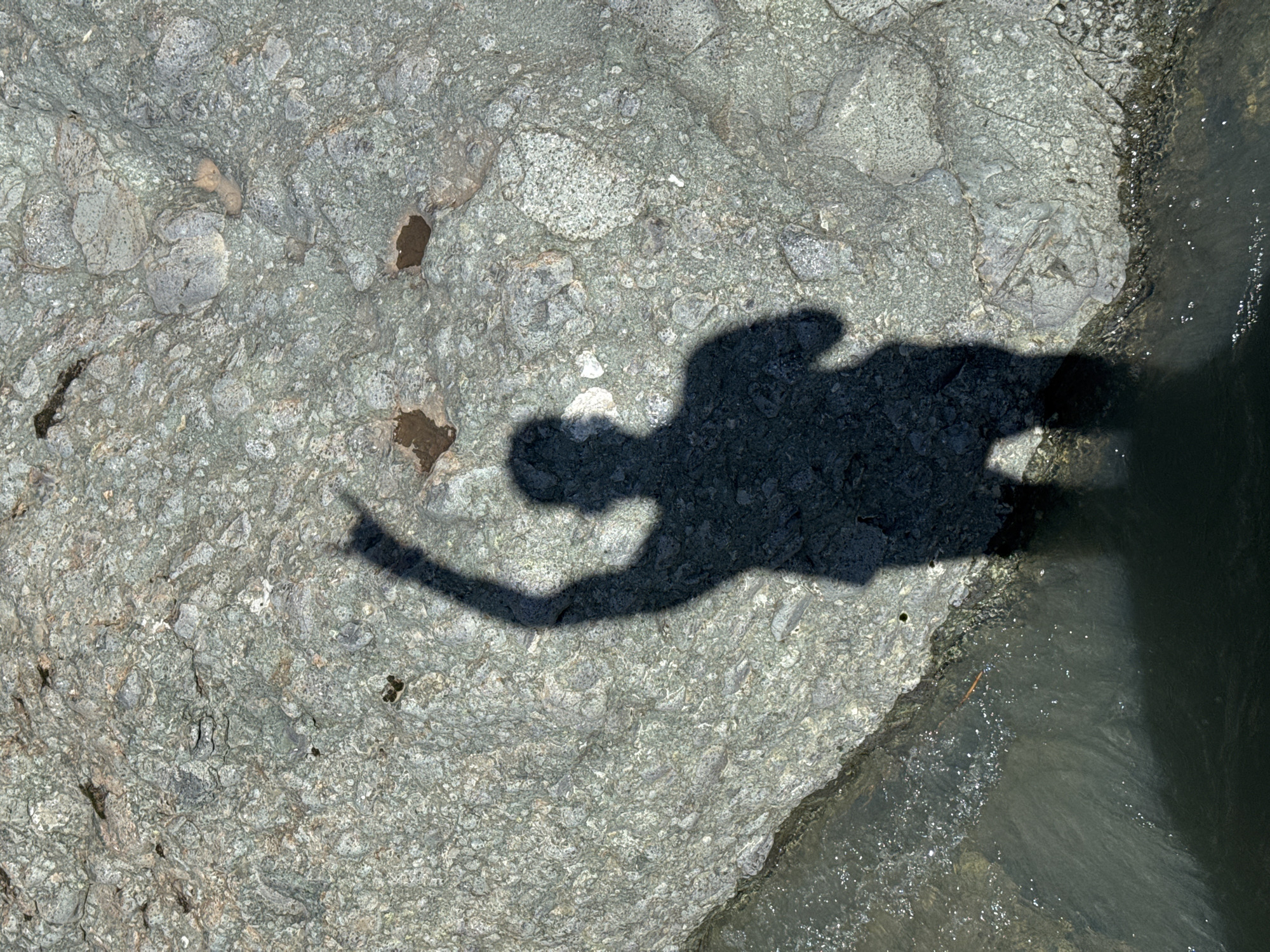In Fazanovo, Bulgaria, an overhead perspective reveals the distinct shadow of a human figure projected onto a textured, light-colored rock formation bordering dark water. The shadow's left arm is raised, with fingers configured into a "devil horns" gesture. The rock displays a coarse, mottled surface with grayish-green and subtle brownish tones. A body of dark water, exhibiting minor surface agitation and reflections, occupies the lower left quadrant of the frame. The scene is illuminated by direct sunlight, producing a sharply defined shadow.