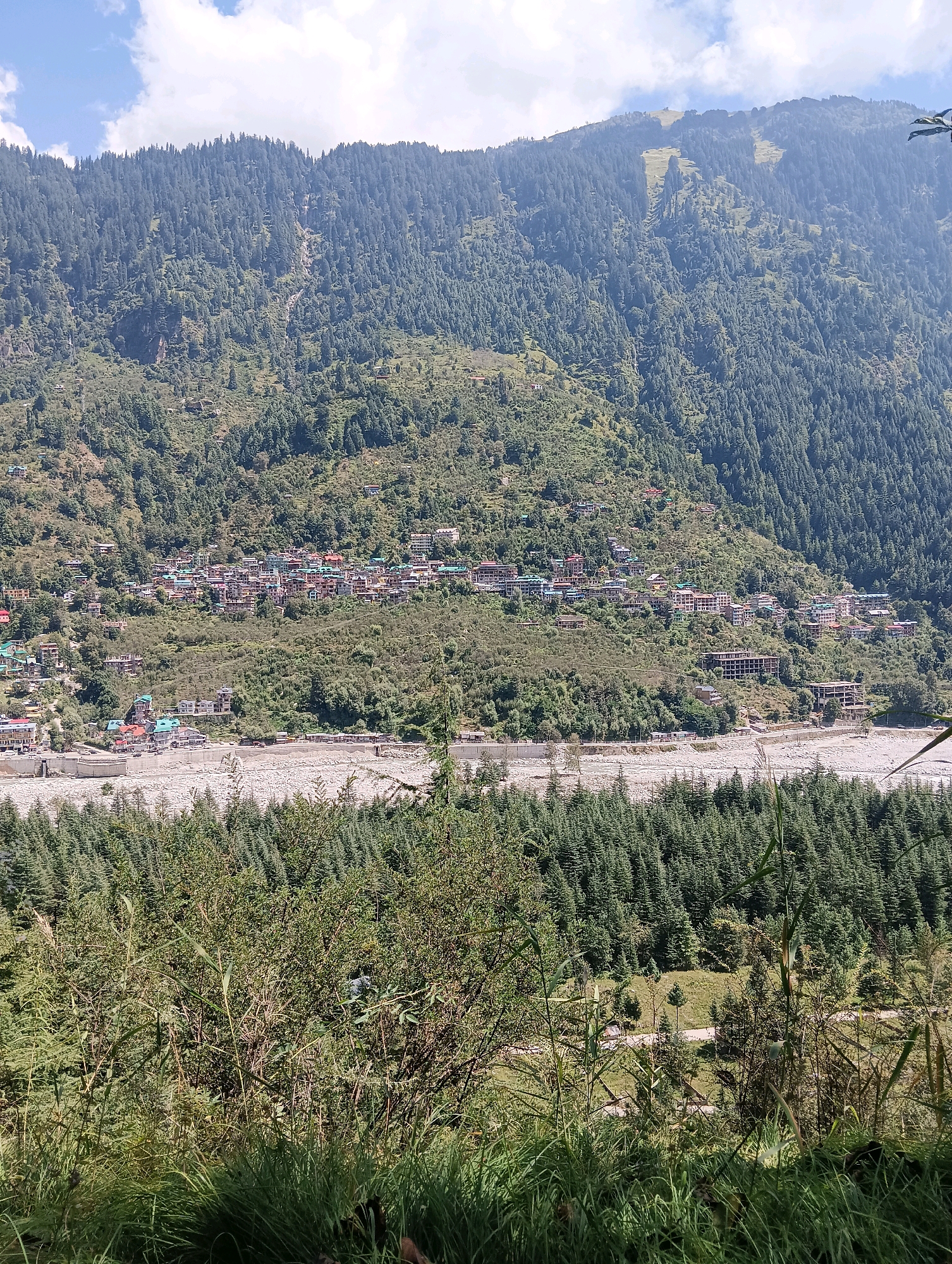 A vertical, medium shot captures a mountainous landscape in Vashisht, India. The scene is dominated by a steep, densely forested mountain covered in evergreen trees. A small village is nestled on the lower slopes of the mountain, characterized by numerous buildings with red and white roofs. A wide, rocky riverbed, possibly dry or with minimal water flow, is visible in the mid-ground, separating the village from a dense coniferous forest that fills the foreground and extends into the lower slopes of the mountain. The sky above is partly cloudy with patches of blue. The image is taken from a slightly elevated viewpoint, looking across the valley towards the mountain and village.