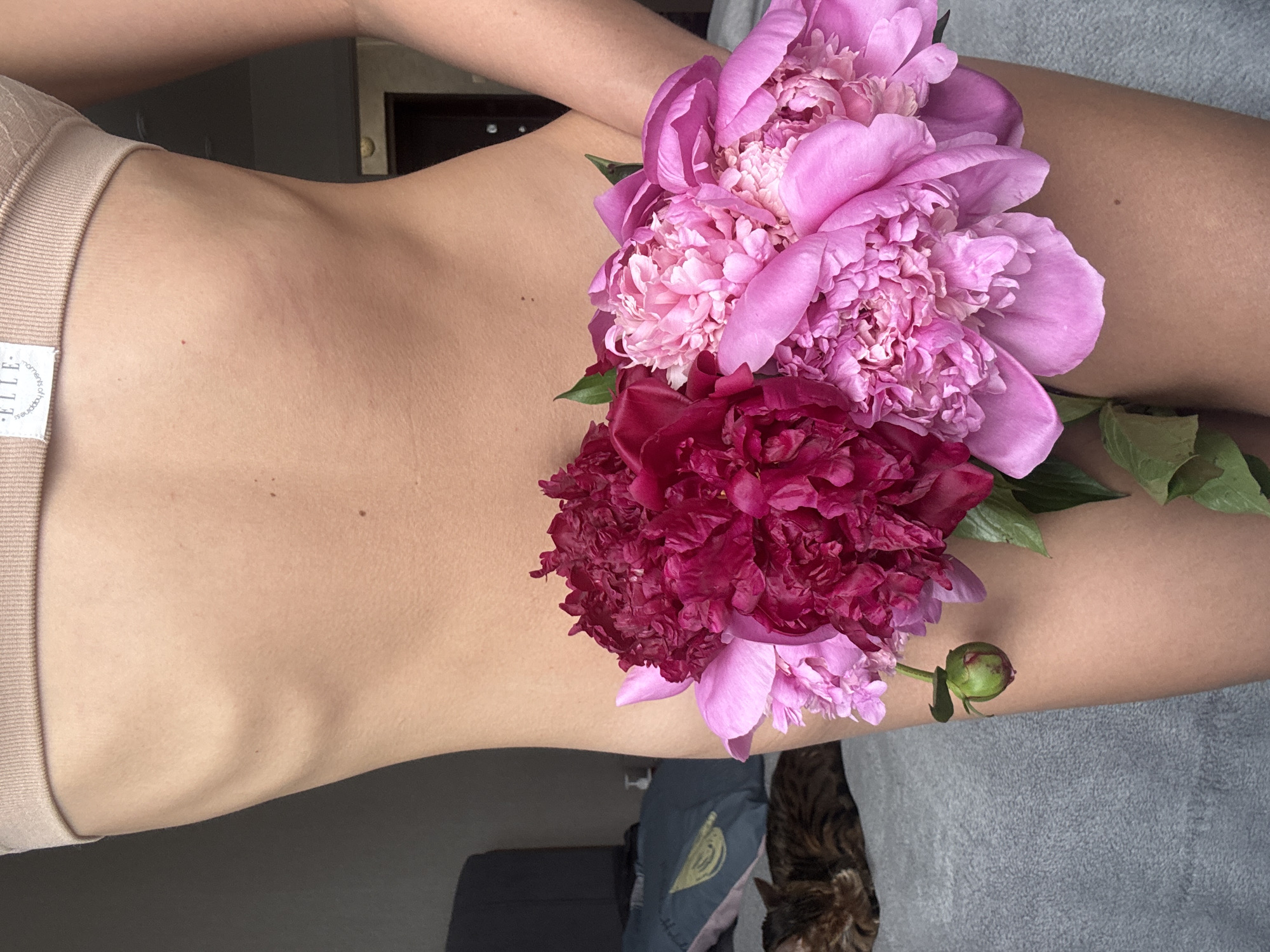 The image presents a close-up, high-angle view of a person's midsection, left arm, and upper left thigh, arranged with a bouquet of peonies. The person's skin is smooth and lightly tanned, showing subtle contours and a few small moles. They are wearing light beige undergarments or loungewear, on which a white fabric tag is visible on the left, displaying the brand name "ELLE" and partially the word "moments" below it.
A lush cluster of peony flowers, ranging from soft pinks to vibrant fuchsia and deep reddish-purple hues, is artfully placed across the person's hip and upper thigh. Green leaves and one small, unopened peony bud are also visible among the blossoms.
In the bottom right corner, part of a tabby cat with distinctive striped fur can be seen, partially obscured by the flowers and a grey, textured fabric, likely a blanket or cushion. The background is dimly lit and out of focus, suggesting an indoor setting with natural light illuminating the foreground. The overall impression is one of tranquility and natural beauty.