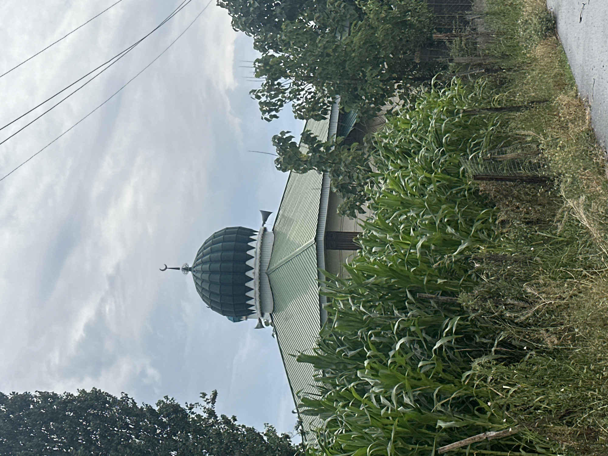 The image shows a mosque with a green dome, topped with a crescent moon, situated in the city of Taygarayev, Kyrgyzstan. The mosque has a green, corrugated metal roof and several loudspeakers mounted on its sides. In the foreground, a dense field of tall green corn stalks grows behind a rustic wire fence. Lush green trees and vegetation surround the mosque and the cornfield. The sky above is overcast with dramatic clouds, and electrical wires are visible stretching across the upper right portion of the frame. The scene suggests a rural or semi-rural setting.