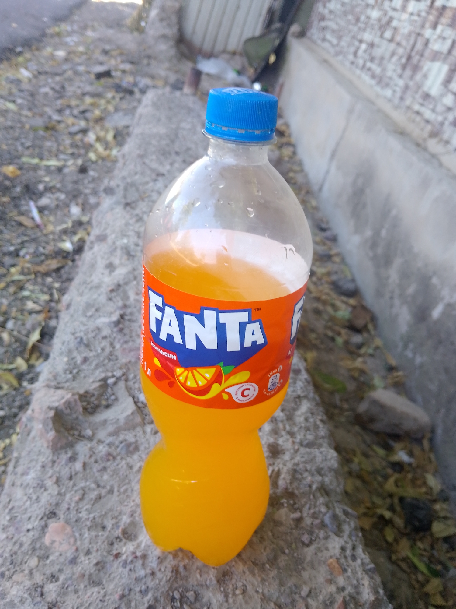 A full, eye-level shot captures a 1-liter bottle of Fanta orange soda, its bright orange liquid visible through the clear plastic. The bottle rests on a rough, gray concrete ledge, its blue plastic cap slightly askew. The label, a vibrant orange with white lettering, features the Fanta logo and an illustration of an orange slice with water droplets. In the background, the scene shifts to an outdoor, urban environment. A light-colored, possibly brick or concrete wall runs along the right side, partially obscured by a metallic structure. The ground is a mixture of rough, gray concrete and scattered dry leaves and debris, suggesting an unkempt, possibly abandoned, area. The lighting indicates it's daytime, with sunlight casting faint shadows. The overall impression is that of a disposable beverage bottle casually left in an outdoor, somewhat neglected urban setting, potentially in the vicinity of Абай ауылдық округі, Kazakhstan, given the provided contextual information.