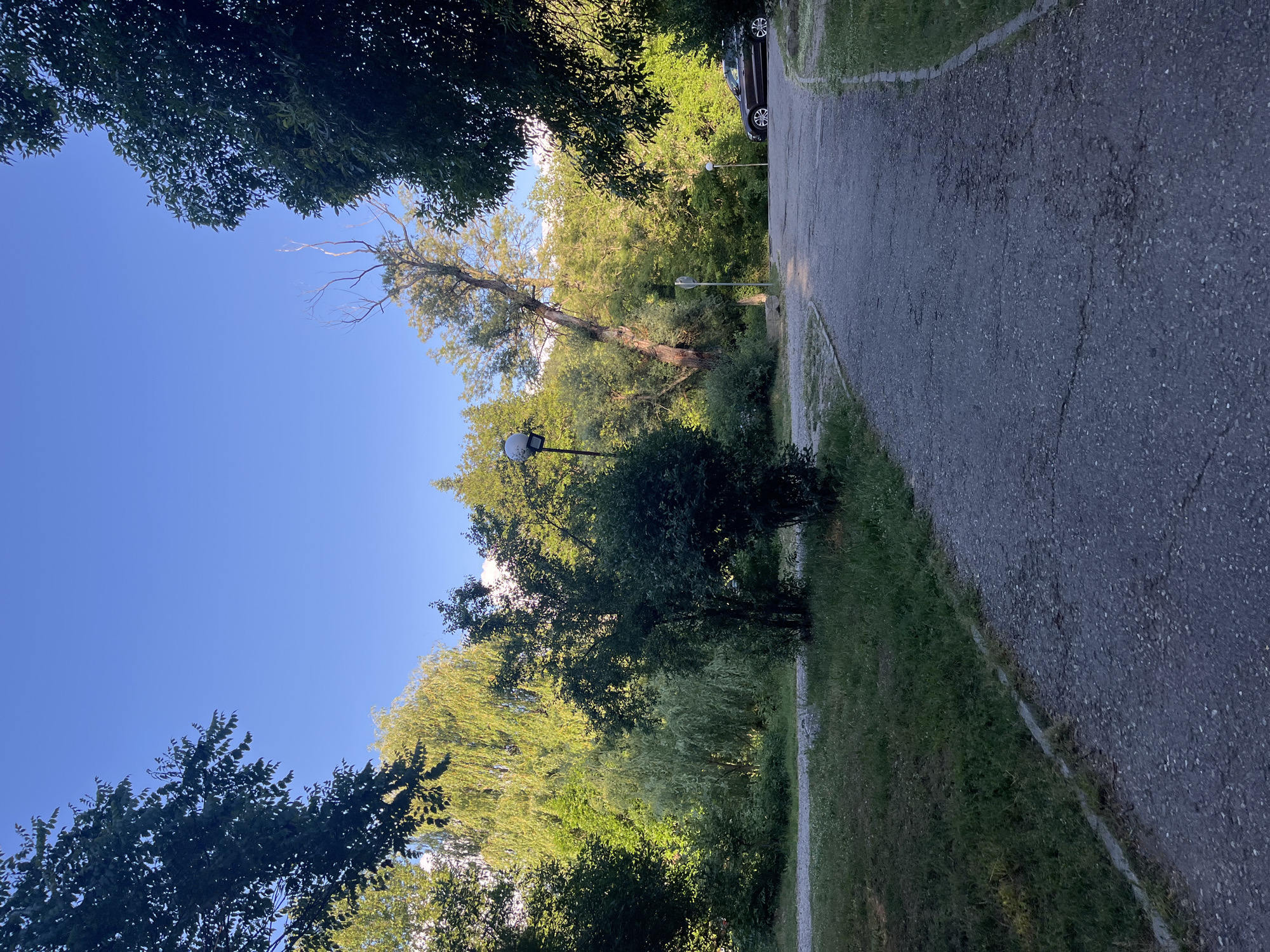 The image shows a paved road in a park-like setting. The road runs diagonally from the upper right to the lower left. The sky is visible through the trees on either side of the road. On the right side of the road, there is a grassy area with trees, and a parked car is visible in the distance. On the left side of the road, there is also a grassy area with trees and a lamppost. The image is taken from a low angle, looking up at the trees and sky. While it's difficult to definitively pinpoint the location within the city of Blagoevgrad, Bulgaria, the presence of trees, street lamp, and asphalt road suggests this might be a green area within the city such as Park Bachinovo.