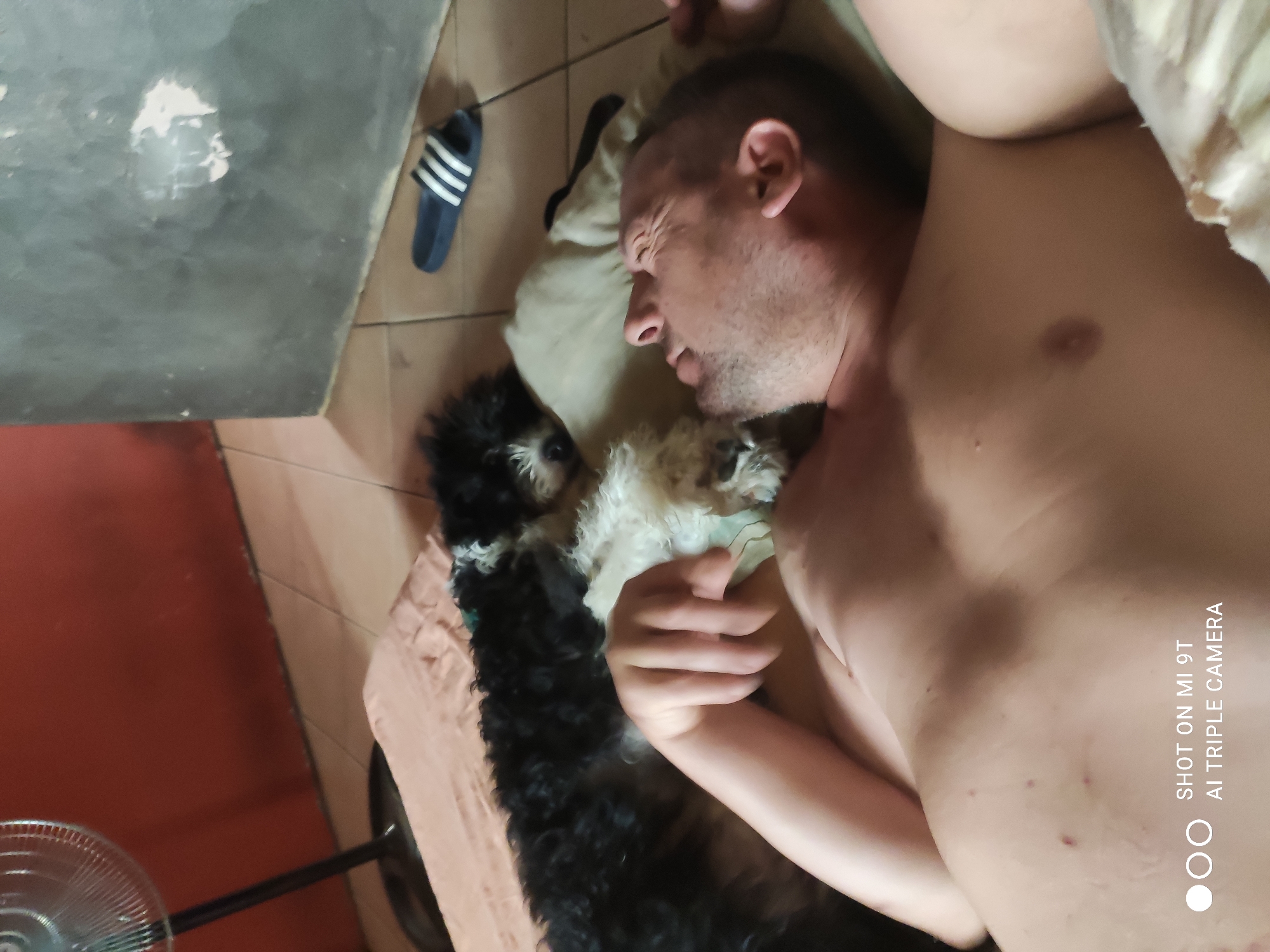 A man and two dogs are lying on the floor, which is tiled with a beige and brown pattern. The man is on his side, facing away from the camera, with his arm bent. One dog is black and white and is lying on top of the man's chest. The other dog is black and white with a white face and is lying next to the man's head. A peach-colored blanket is under the dogs. In the background, a black standing fan is visible to the left, and a gray wall with white splotches is to the right. A pair of dark blue and white striped flip-flops are on the floor near the wall. The scene appears to be indoors.