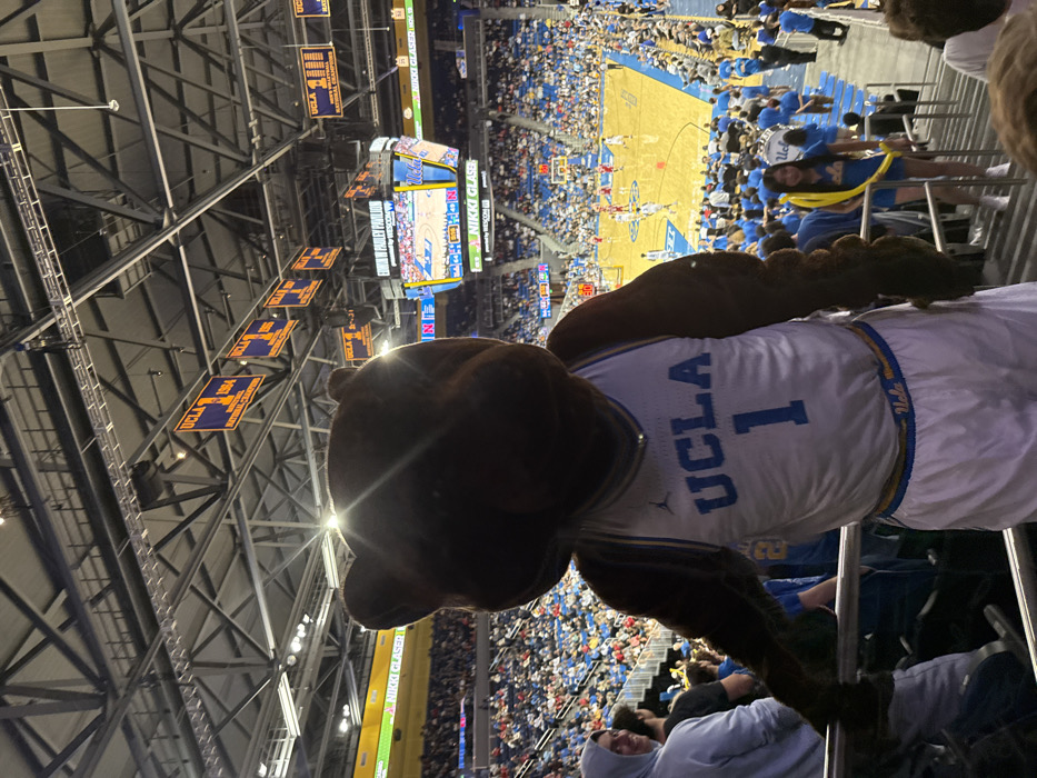 This image depicts the interior of a crowded indoor basketball arena, identified as Edwin W. Pauley Pavilion on the University of California, Los Angeles (UCLA) campus, located in Los Angeles, California, United States of America.
In the foreground, slightly to the right of center, a person in a brown bear mascot costume is visible from the chest up, facing partially towards the viewer and partially towards the basketball court. The mascot wears a white basketball jersey with blue trim, featuring "UCLA" across the chest and the number "1" below it. Its left arm rests on a metal railing. A bright lens flare is visible emanating from the upper part of the mascot's head, likely from overhead lighting.
The middle ground reveals multiple sections of blue stadium seating, largely occupied by spectators. To the left of the mascot, a man in a light grey hooded sweatshirt looks towards the right. To the right, a female individual in a blue and yellow uniform, possibly a cheerleader, walks down a set of stairs, holding yellow coiled objects.
In the background, a basketball game is actively underway on a wooden court, with multiple players in red and white/blue jerseys visible. Above the court, a large, multi-sided video scoreboard displays game information and sponsor logos, including "EDWIN W. PAULEY PAVILION" and "NISSAN". Numerous blue and yellow banners celebrating "UCLA NATIONAL CHAMPIONS" from various years, such as 1984 for basketball and other years for Men's Volleyball, hang from the elaborate metal truss ceiling structure. The arena is brightly illuminated by artificial overhead lighting fixtures.