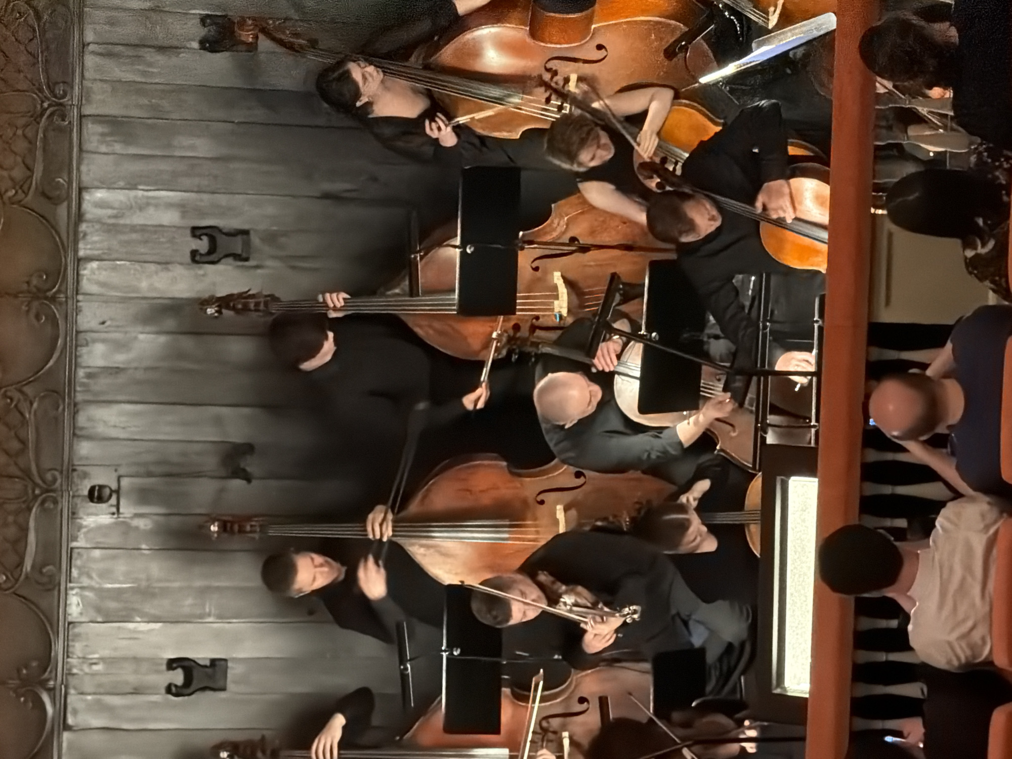 The image depicts an orchestra performing on a stage. The musicians are dressed in black attire. Several double basses are visible, as well as at least one cello and a violin. The backdrop appears to be a dark, textured wall with decorative metal elements. In the foreground, the backs of audience members are visible, seated in an auditorium. The lighting suggests an indoor performance setting. The location in the city of Lednevo, Russia, is not discernible from the image itself.