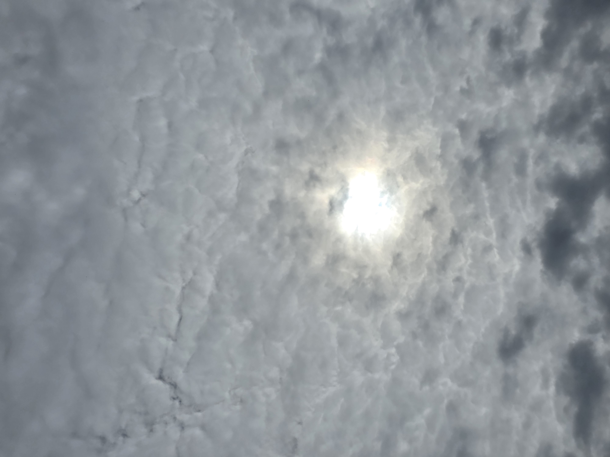 The image depicts a cloudy sky with the sun partially obscured by clouds. The clouds are textured and appear to be of various densities, with some areas lighter and others darker. A bright, hazy sun is visible in the central portion of the image, with a subtle halo effect. The bottom of the image shows darker, heavier clouds. The scene is entirely natural, with no human presence or man-made structures visible. The geographical location is not discernible from the image itself.