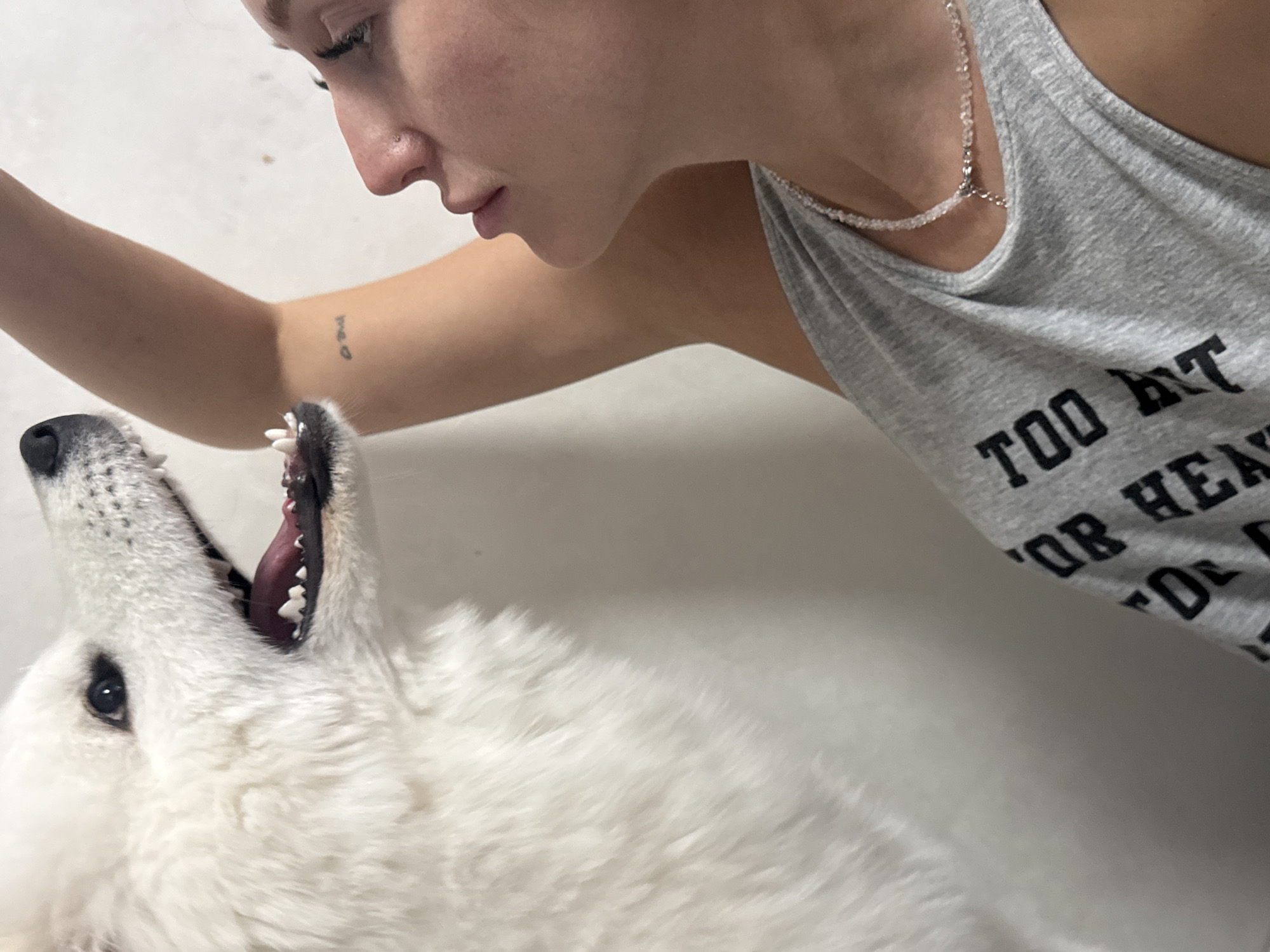 A close-up shot captures a woman interacting with a fluffy white dog. The woman is partially visible, focusing on her profile, wearing a gray tank top with black text that reads "TOO HT FOR HE FOR" a silver necklace, and a tattoo on her arm. The dog is the primary subject with its mouth open, revealing its teeth and tongue. The background appears to be a plain, light-colored wall. There is no information in the image to indicate the location in the city of Chaikovsky, Russia.