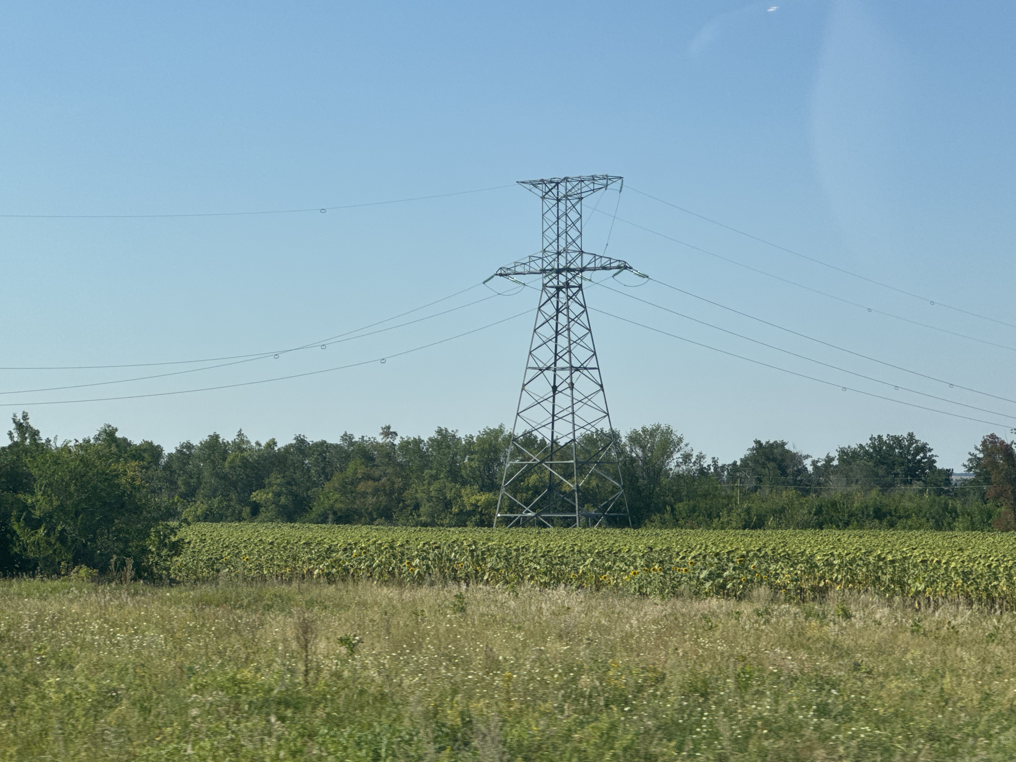 The image depicts a wide shot of a rural landscape under a clear blue sky. In the mid-ground, a large, lattice-style electricity pylon stands prominently, supporting multiple power lines that stretch horizontally across the frame. Below the pylon and power lines, a vast field of sunflowers with yellow blooms is visible, stretching towards a dense line of green trees in the background. The foreground features a field of tall, dry grass with scattered white wildflowers. The image captures a serene, natural environment with the industrial element of the electricity pylon introducing a man-made feature.