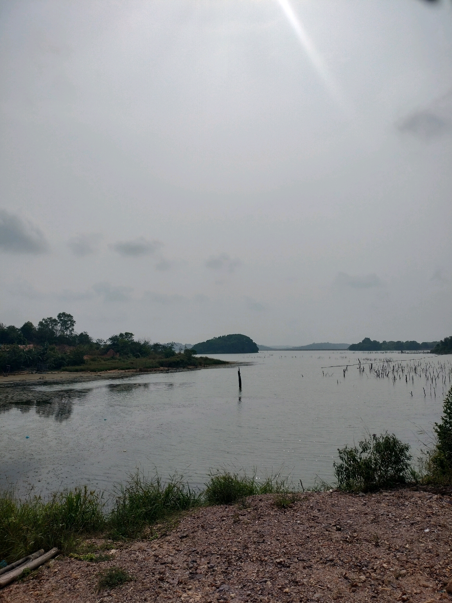 The image depicts a wide, tranquil body of water with a subdued, overcast sky. The foreground is a gravelly embankment covered in sparse vegetation and some fallen logs. The water's surface is calm, with subtle ripples and occasional debris. On the left side of the frame, a dense line of trees and foliage lines the shore. Across the water, in the middle ground, a small, tree-covered island is visible. Further in the distance, the water stretches towards a hazy horizon, with several submerged dead trees, their skeletal branches protruding from the surface, dotting the expansive lake. The overall impression is one of natural stillness, possibly a reservoir or a large lake within a semi-developed area. The location is identified as a reservoir on Batam Island, Indonesia.