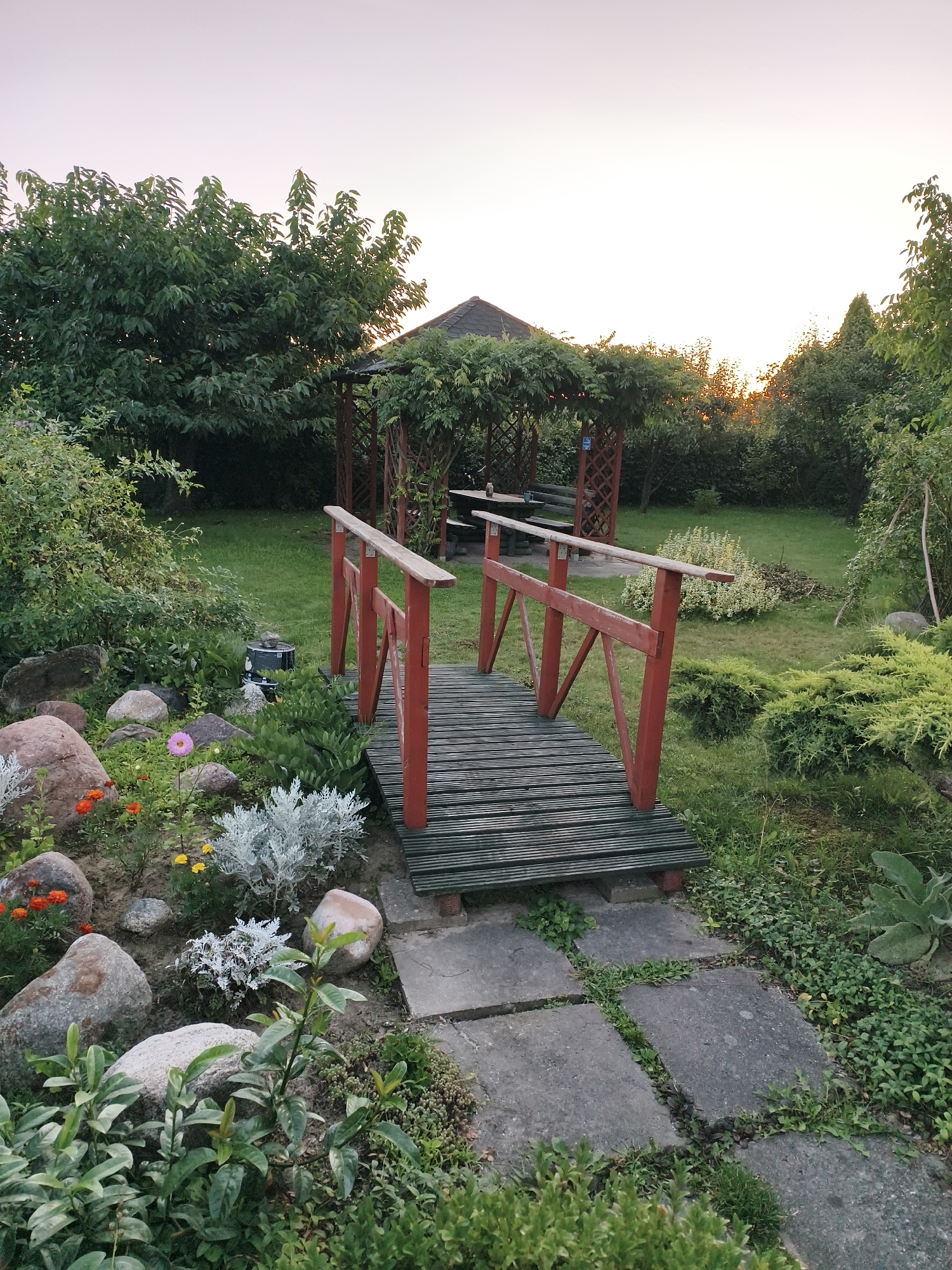 The image depicts a garden scene at dusk. In the foreground, a rustic wooden bridge with red railings spans a small area. The bridge is made of weathered wooden planks. To the left of the bridge, a rocky flower bed contains various plants, including a single pink flower, several orange flowers, and some silver-leafed bushes. A dark, cylindrical object, possibly a drum or bin, sits near the bridge's base.
Beyond the bridge, a green lawn stretches towards a wooden gazebo with a dark roof, partially covered in vines. A wooden bench is visible inside the gazebo. The background is filled with lush green trees and shrubs, with the sky showing a pale, hazy sunset with the sun low on the horizon.
This image does not contain any specific landmarks or elements that would allow for its precise location within Tczew, Poland.