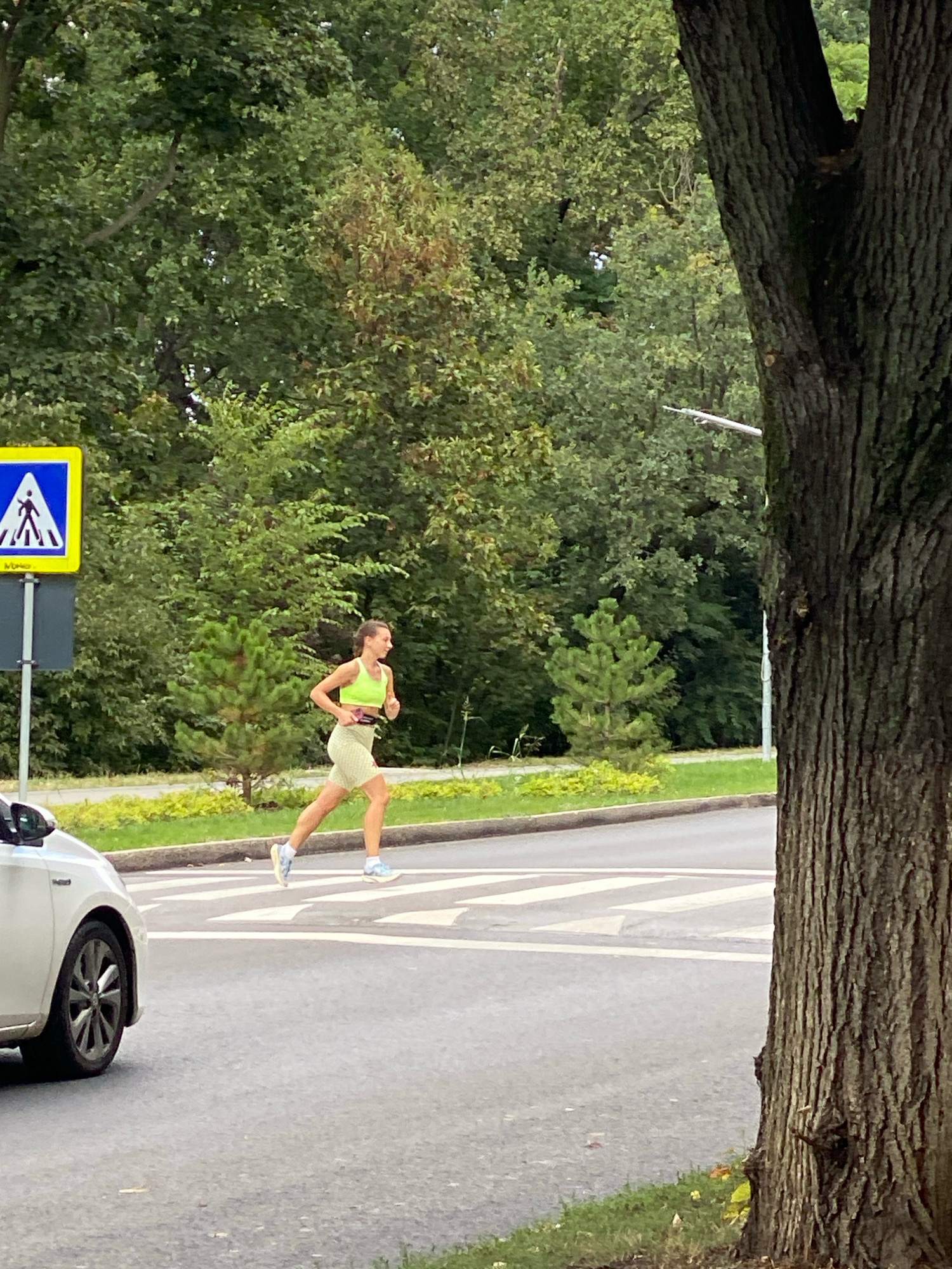 A woman is running across a pedestrian crossing on a paved road in Chisinau, Moldova. She is wearing a neon yellow sports bra and light-colored shorts, and has a dark band around her waist. A white car is visible on the left side of the road, partially obscuring the view of the pedestrian crossing. Behind the road, there is a strip of grass and then a dense line of green trees. To the left of the runner, a blue and yellow pedestrian crossing sign is mounted on a pole. The sky is overcast. A large tree trunk is on the right side of the frame, in the foreground.