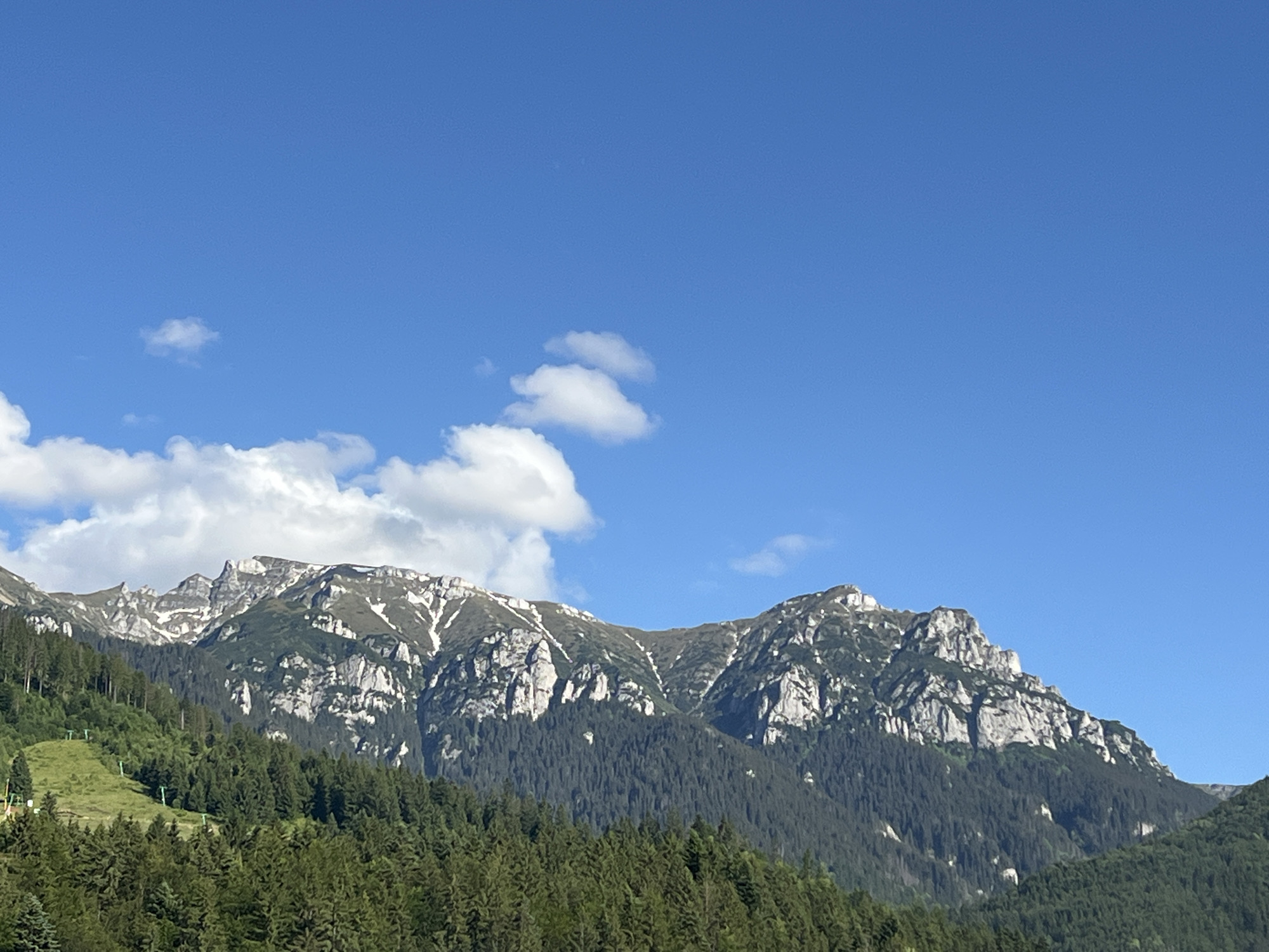 This is a wide-angle, eye-level shot of a mountainous landscape under a clear blue sky with scattered white clouds. In the foreground, a dense forest of dark green evergreen trees covers the lower portion of the image. Behind the forest, the mid-ground features a steep, grassy slope dotted with scattered trees and what appear to be ski lift poles. The background is dominated by rugged, rocky mountains with patches of snow, their peaks sharply defined against the sky. The lighting suggests it is daytime, likely mid-morning or afternoon, with no people or visible man-made structures other than the ski lift poles. The environment is natural and mountainous.