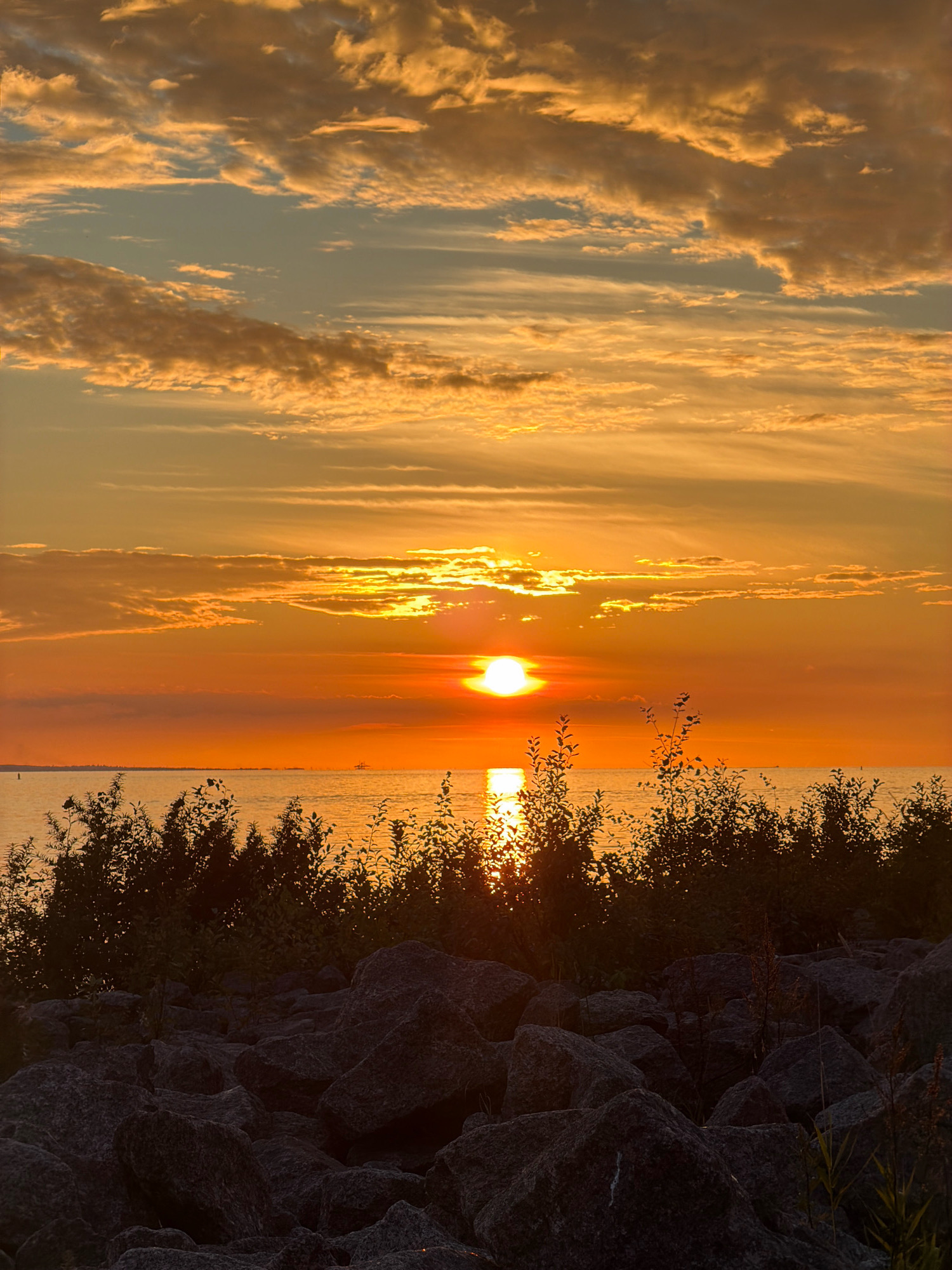 This is a photograph of a sunset over the Gulf of Finland, viewed from the St. Petersburg coast, likely near the Gulf of Finland embankment or a similar coastal park. The sky is filled with dramatic clouds tinged with warm orange, yellow, and pink hues, illuminated by the setting sun. The sun itself is a bright, glowing orb positioned near the horizon, casting a shimmering reflection on the calm water. In the foreground, there is a rocky shoreline covered with dark, textured stones. Behind the rocks, a line of dark green foliage, likely trees and bushes, forms a silhouette against the vibrant sky and water. There are no people or animals visible in the scene. The overall atmosphere is serene and picturesque, capturing the beauty of a summer evening in St. Petersburg.