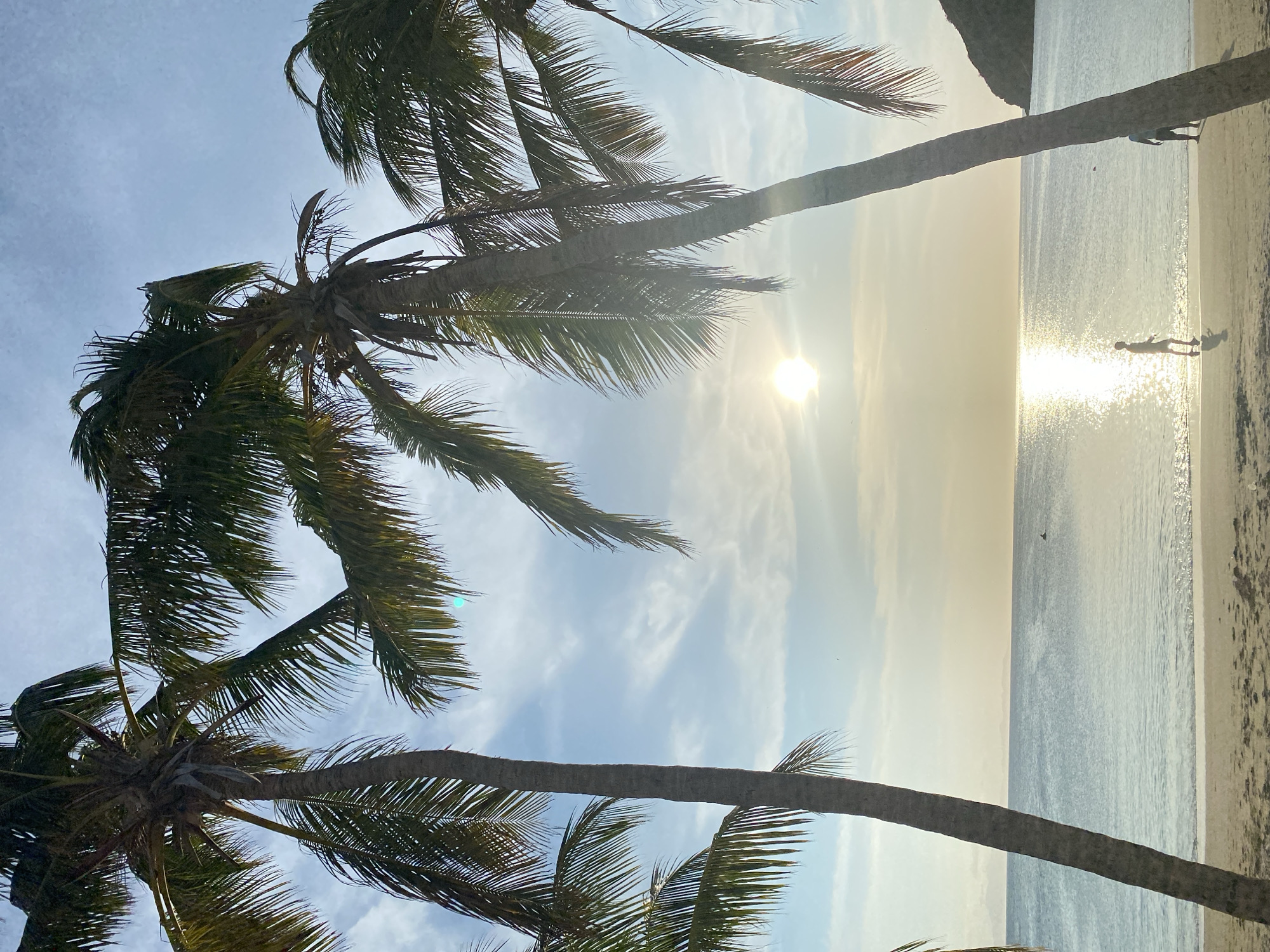 From a low-angle perspective, the image captures a beach scene in Juan Griego, Venezuela, featuring palm trees and the ocean. The sun, positioned over the water, reflects brightly. The sky is partially cloudy. Two human figures are visible on the beach. The photograph is oriented sideways.