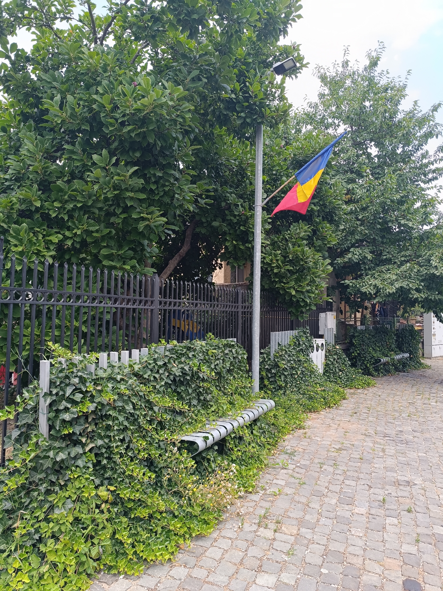 The image depicts a section of a paved walkway in Târgu Jiu, Romania. A black metal fence runs along the left side of the walkway, partially obscured by dense green ivy. A metal bench is situated against the fence, also covered in ivy. Behind the fence, lush green trees provide shade, and a flagpole with a Romanian flag is visible, with a modern LED street lamp attached to the pole. Further back, buildings and more trees are present. The walkway itself is made of grey cobblestones. The sky above is overcast. No people are clearly visible in the scene.