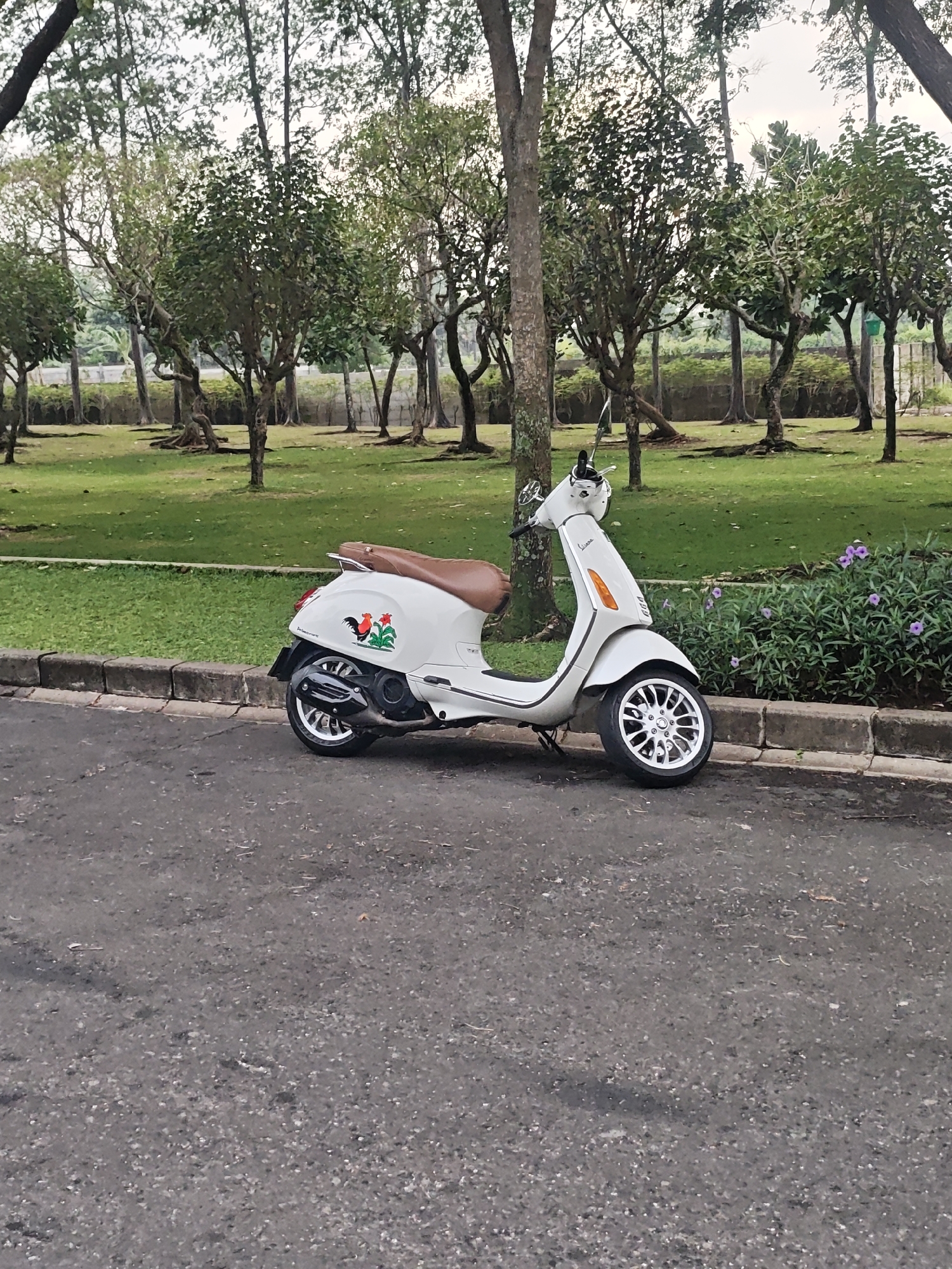 A white Vespa scooter is parked on the side of an asphalt road, adjacent to a paved curb and a strip of grass. Beyond the grass is a park-like area with mature trees and a well-maintained lawn. The scooter has a brown seat and features a decorative decal of two roosters. In the background, a low wall separates the park from a treeline. The sky is overcast, suggesting a diffused light. The scene is peaceful and appears to be a quiet urban or suburban setting in Bacin, Indonesia.