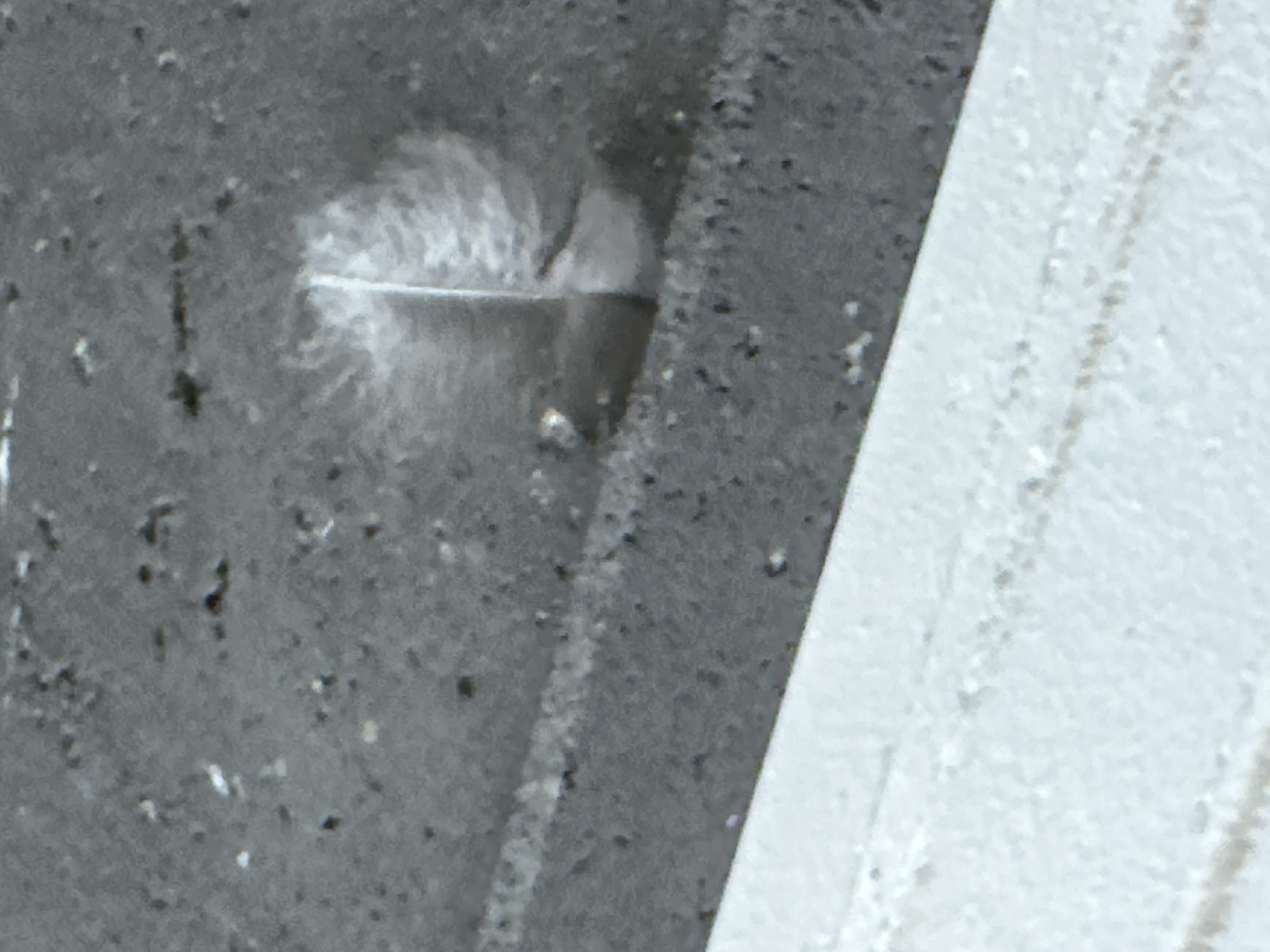 The image shows a single, small white feather lying on a textured gray surface, possibly concrete or asphalt. The feather is upright, with its tip pointing upwards. The surface has small dark and light specks, suggesting an outdoor environment. In the foreground, a lighter colored textured surface is visible, which could be a path or sidewalk. The image quality is somewhat blurry, making it difficult to discern finer details. The location in Krefeld, Germany, is not identifiable from the image itself.
