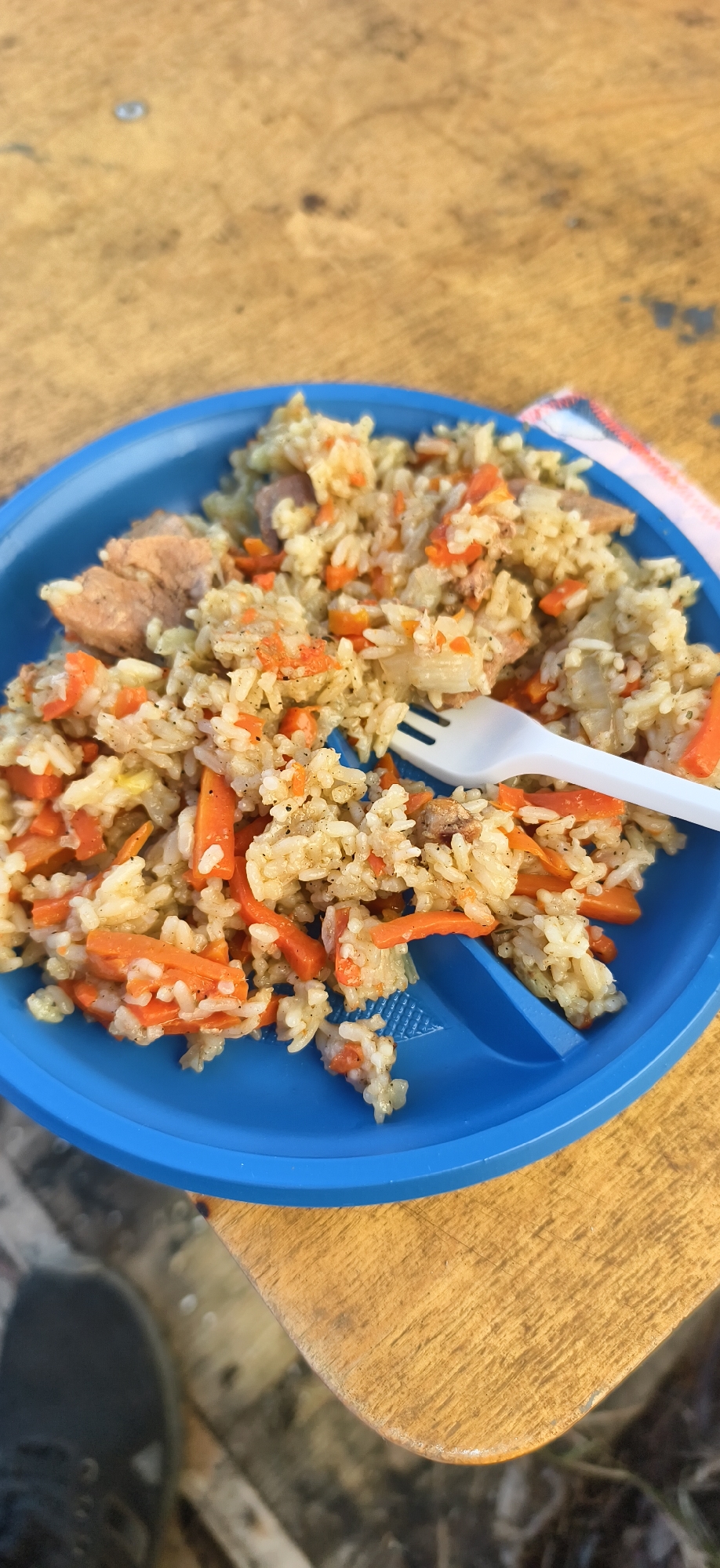 A blue plastic plate filled with pilaf sits on a wooden surface outdoors. The pilaf contains rice, pieces of meat, and sliced carrots. A white plastic fork rests on the pilaf. The bottom of a dark shoe is visible in the lower-left corner. The background includes grass and other vegetation. The location is Фоки, Russia.