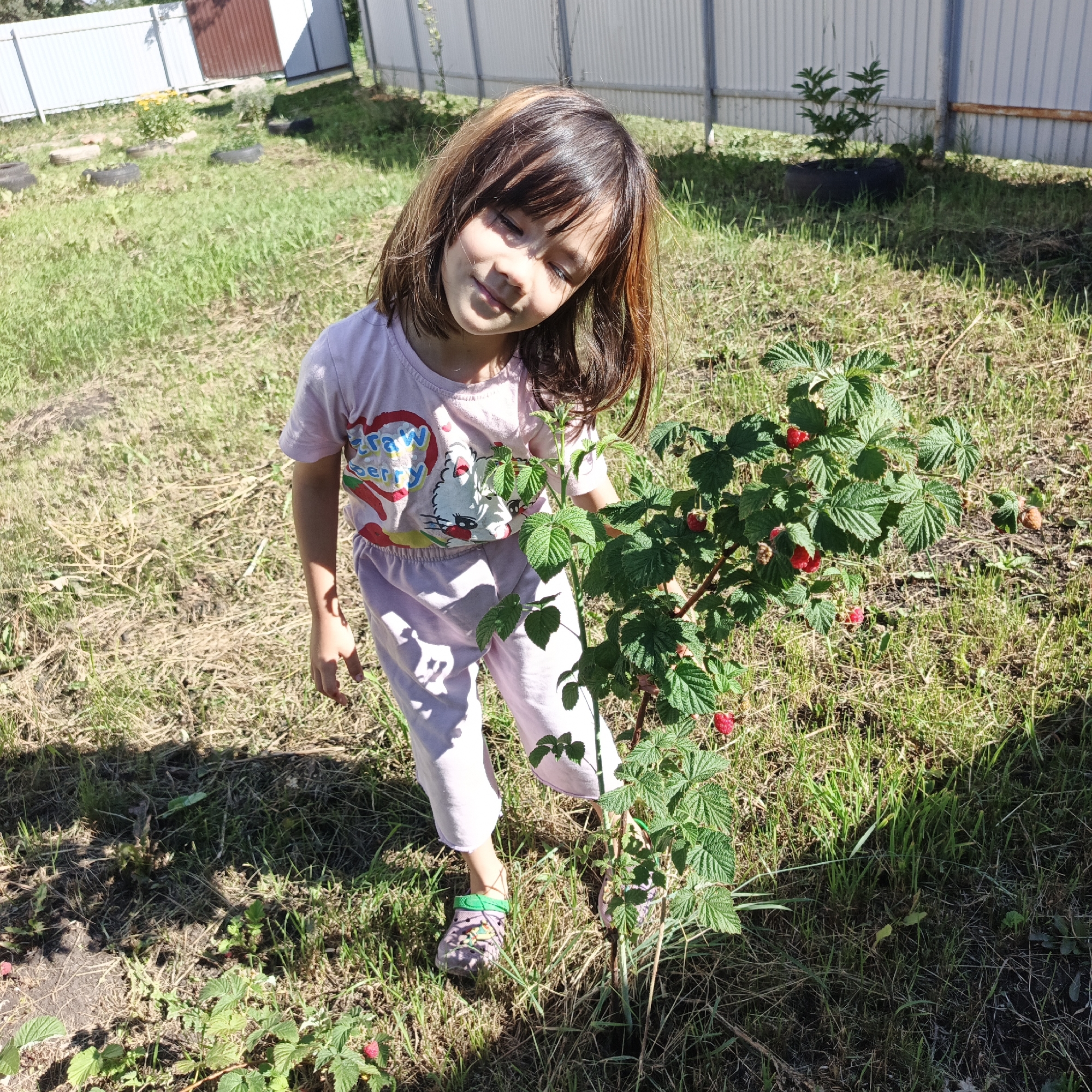 A young girl with dark hair and highlights stands in a grassy yard next to a raspberry bush. She is wearing a pink t-shirt with a cartoon graphic and light pink pajama pants. The t-shirt has a graphic that includes the words "Strawberry" and a character that looks like a cat. She is wearing purple clogs with green accents. The girl is looking down at the raspberry bush, with her head tilted and eyes partially closed, appearing content and relaxed. The sun is shining, casting shadows on the grass and the girl. The setting appears to be a backyard in Podlubovo, Russia, with a white and brown fence visible in the background, along with some overgrown vegetation and tires used as planters. The raspberry bush has several ripe red berries. The overall mood is peaceful and summery.