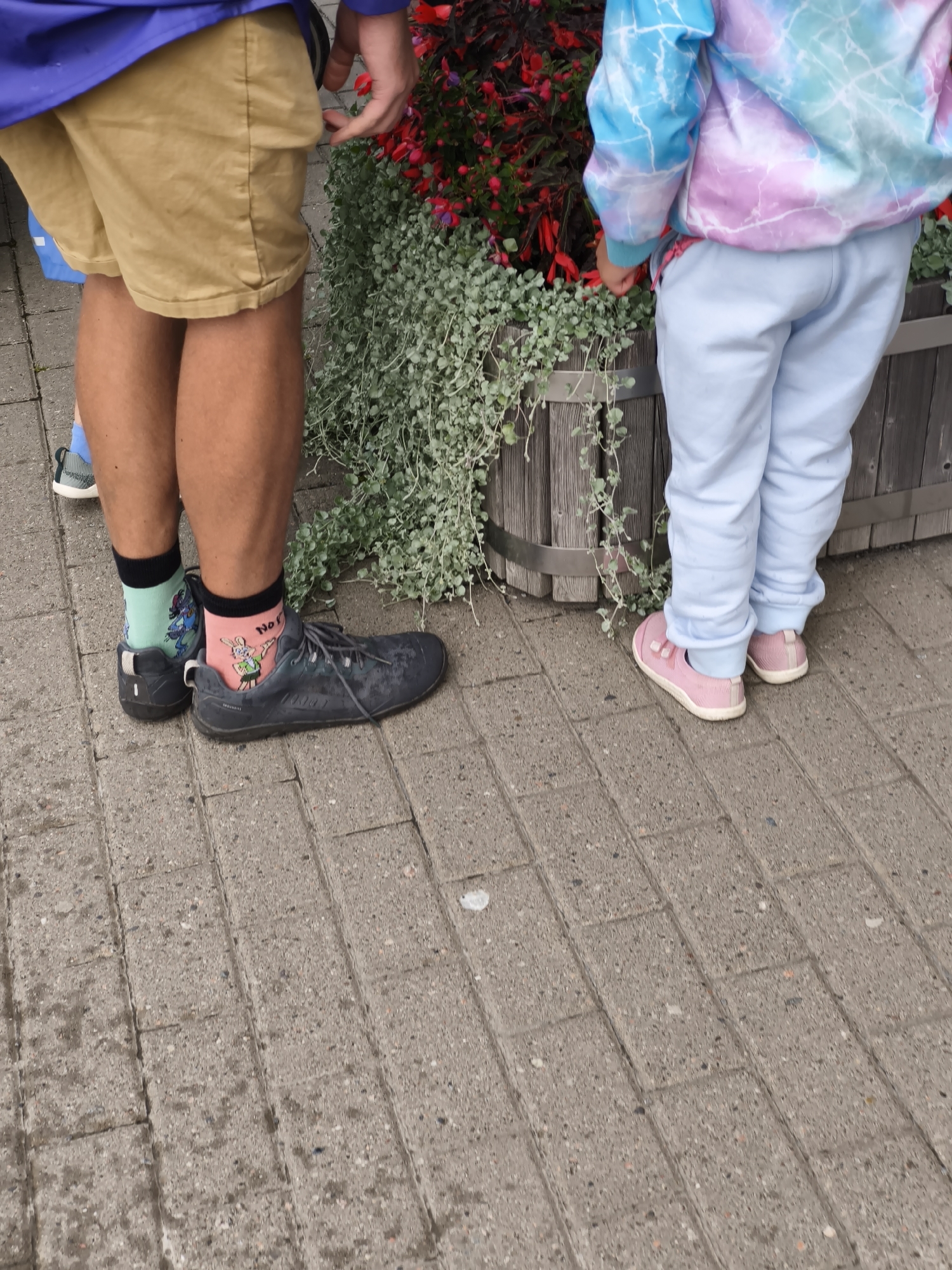 Two individuals are positioned outdoors on a paved surface composed of rectangular gray stones. The person on the left, whose lower body is visible, is wearing tan shorts, dark gray lace-up shoes, and a pair of mismatched socks: a light green sock with a cartoon character and a pink sock with the text "No Fear" and a similar cartoon character. The person on the right, also only visible from the waist down, is wearing light blue sweatpants and pink slip-on shoes. Both individuals are standing near a planter box filled with greenery and red flowers. The planter box is constructed from wood with metal bands. The background includes hints of a blue bag on the left and a wooden structure on the right. The scene appears to be in an outdoor urban setting.