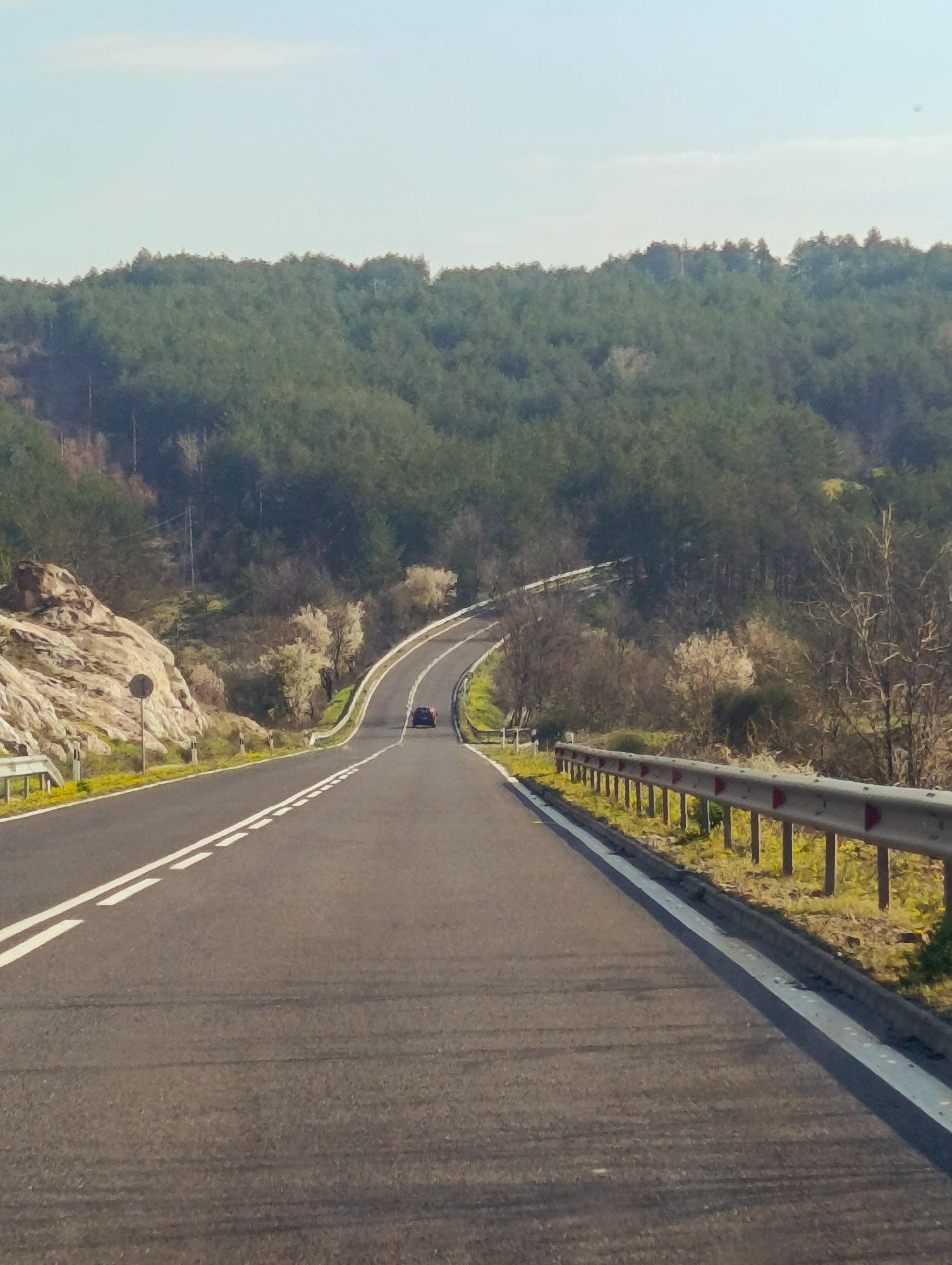 The image shows a two-lane asphalt road winding through a hilly landscape. A dark-colored vehicle is visible in the distance, moving away from the viewer. The road has white dashed lines separating the lanes and a solid white line marking the edge. A metal guardrail runs along the right side of the road. A hill with large rocks is visible on the left. The background features a dense forest. The image was taken in Sedlovina, Bulgaria.