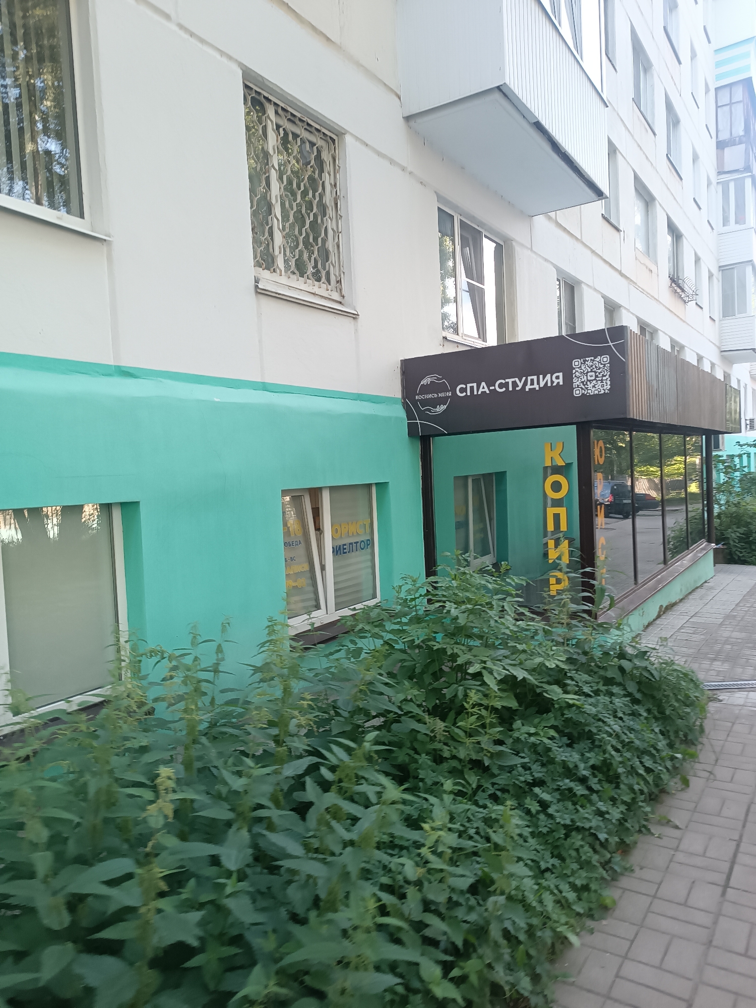 The image shows the exterior of a building with two businesses on the ground floor. The building itself is a multi-story apartment complex, likely residential, with white and light blue siding. The ground floor facade is painted a vibrant teal color.
One business has a prominent dark sign with white text that reads "SPA-СТУДИЯ" (SPA-STUDIO) and a QR code. This entrance appears to be a glass-fronted area with a wooden lattice effect on the upper part.
Adjacent to the SPA-STUDIO is another storefront with a teal facade. This storefront has a window displaying text in yellow lettering, including "КОПИР" (COPY). Inside the window, there appears to be some signage related to services, possibly indicating office hours or a list of services like "ОБЕДА" (LUNCH).
In front of the building, a dense patch of green foliage, likely bushes and weeds, obscures the lower parts of the storefronts and the sidewalk. The sidewalk is paved with grey interlocking bricks.
The lighting suggests it is daytime, likely late afternoon or early evening, as the light appears soft and diffused, and shadows are not particularly harsh. The weather seems calm. The overall impression is of a typical urban commercial space in Russia, possibly a residential building with small businesses integrated into the ground floor. There are no people visible in the image.