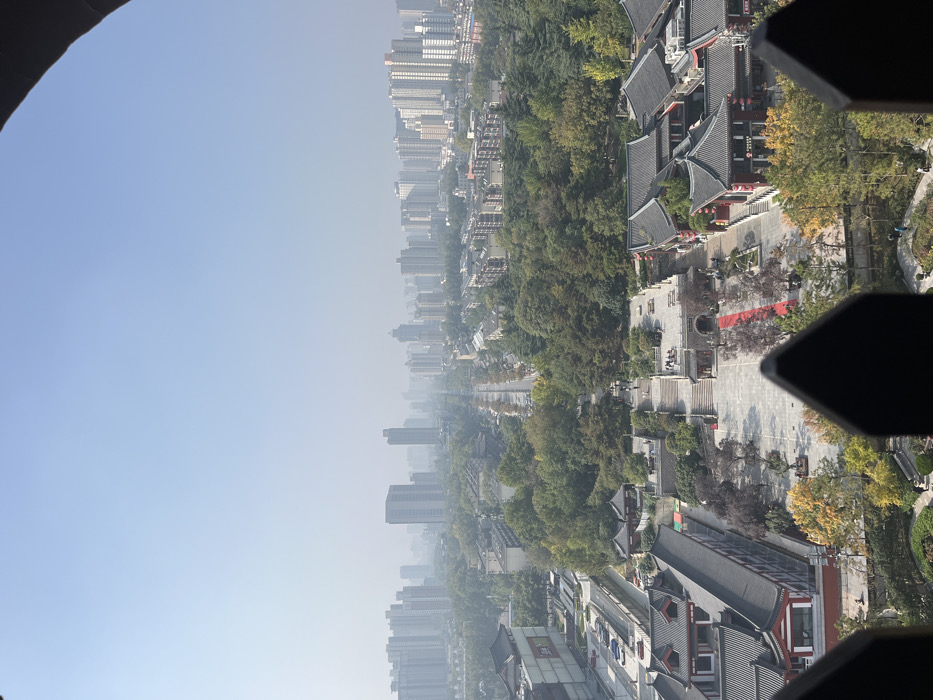 An aerial view captures a segment of Yanta District, Xi'an, China, observed from a significant elevation, likely a pagoda, evidenced by a dark, crenellated structure partially obscuring the lower frame. The scene is bisected by a prominent tree-lined avenue extending into the hazy distance, flanked by modern high-rise buildings and residential complexes fading into a light blue, urban sky.
In the midground, a large cultural plaza features traditional Chinese architecture with dark tiled roofs, red pillars, and white walls. A vibrant red carpet unfurls across the grey-paved plaza, leading toward a stone gateway structure with multiple steps. Several individuals are visible as small figures walking across the plaza and ascending the steps. Surrounding the plaza and buildings are abundant trees, a mix of mature evergreens and deciduous trees displaying autumnal yellow and orange foliage. To the left, a large traditional building complex with a red sign is adjacent to a visible parking lot containing several parked vehicles. To the right, further traditional buildings are interspersed among greenery. The overall environment presents a blend of historical and contemporary urban development under a clear, hazy daytime sky.