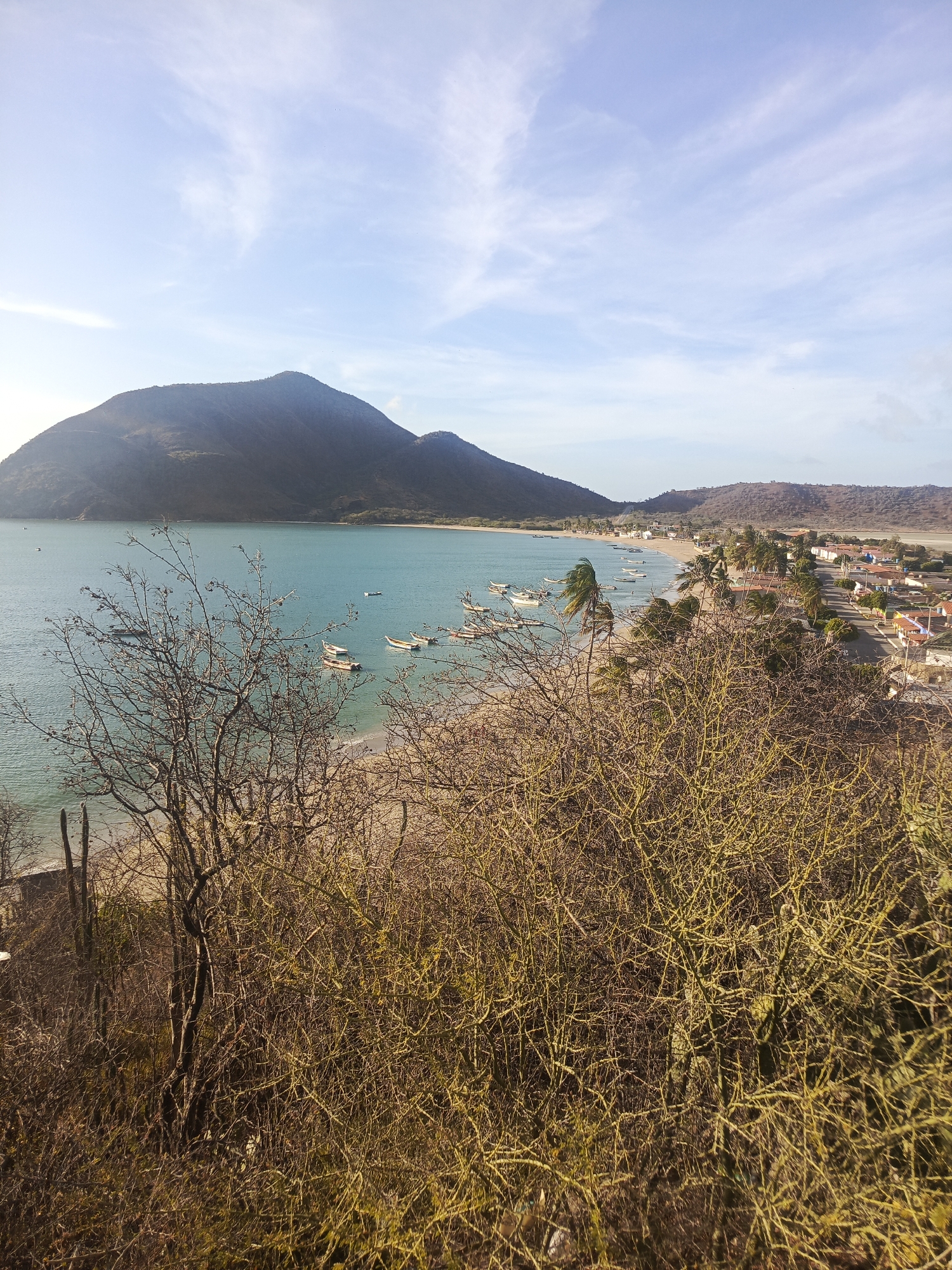 A wide shot captures the bay of Juan Griego, Venezuela, from an elevated vantage point. Dominating the scene is a large, rounded mountain rising from the water on the left side of the frame. The bay is dotted with several small boats. A beach lines the edge of the bay, transitioning into a small town with buildings and a road running along the coast. In the foreground, a dense thicket of dry, thorny bushes obscures the view, adding a textural element to the image. The sky is a light blue with wispy clouds scattered across it.