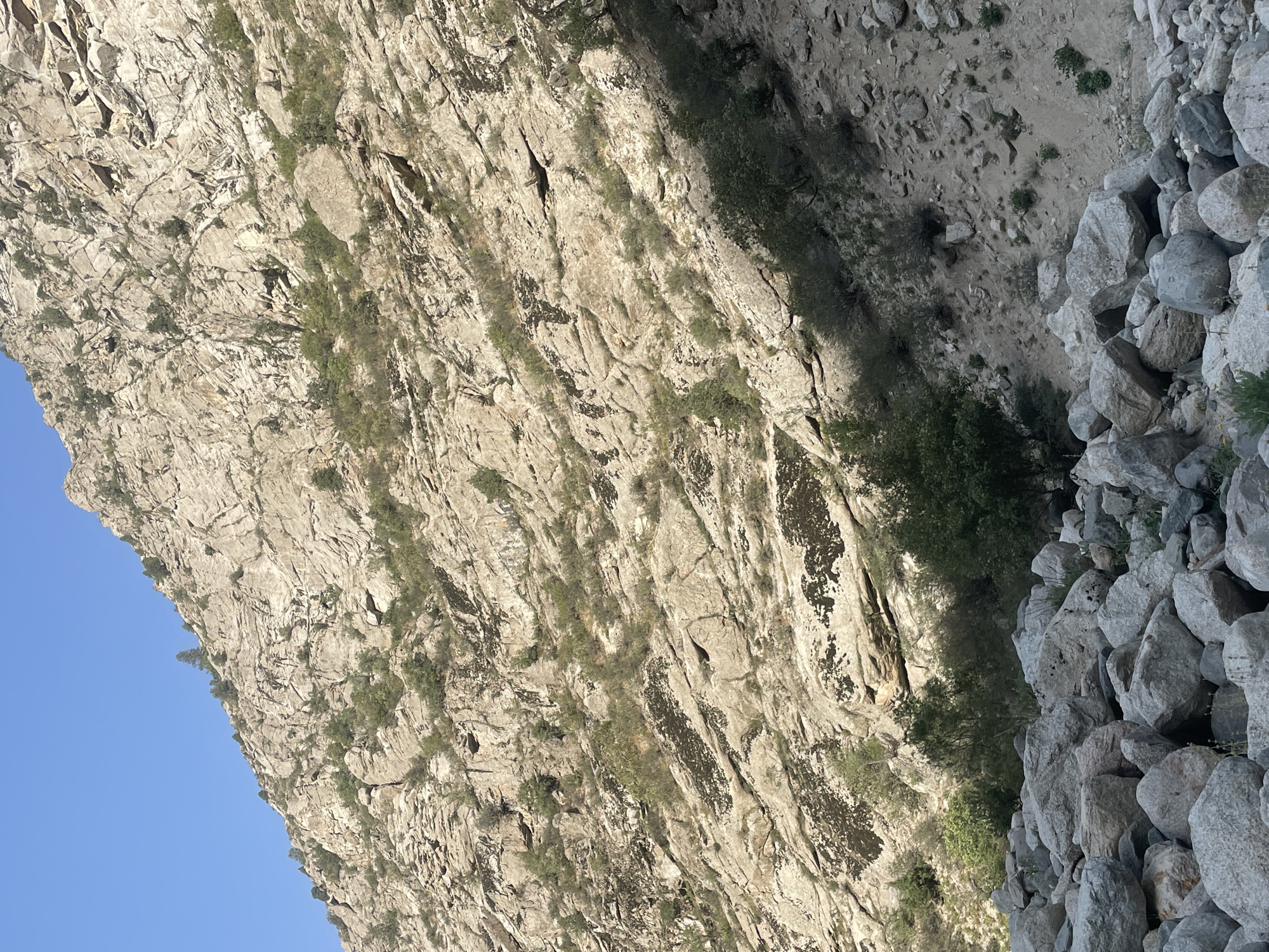The image depicts a rocky mountainside in Khodzha-Obigarm, Tajikistan. The mountain is covered in large, irregular rock formations, with scattered patches of sparse vegetation, including small trees and shrubs. Sunlight casts shadows across the textured surface of the rocks, highlighting the rugged terrain. In the foreground, a jumble of large boulders and rocks forms a natural barrier. The sky above is a clear, pale blue. The scene is devoid of any human presence or activity.