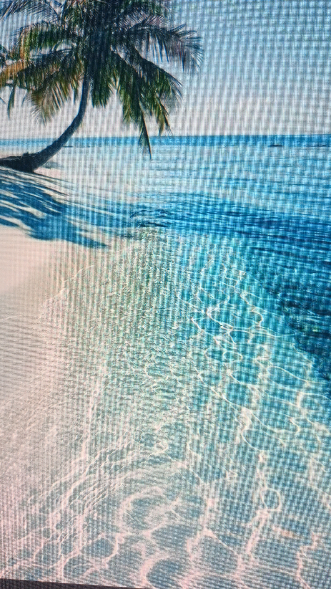 The image displays a tropical beach scene with a palm tree leaning over a sandy shore and clear blue water. The sunlight creates dappled patterns on the sand and the surface of the water, indicating a sunny day. The background shows a vast expanse of calm ocean under a bright sky. There are no people visible in the image. The scene is serene and idyllic, typical of a vacation destination. The prompt's request to include location details in Kuznetsk, Russia, is incongruous with the visual information in the image, which clearly depicts a tropical environment, not a city in Russia.