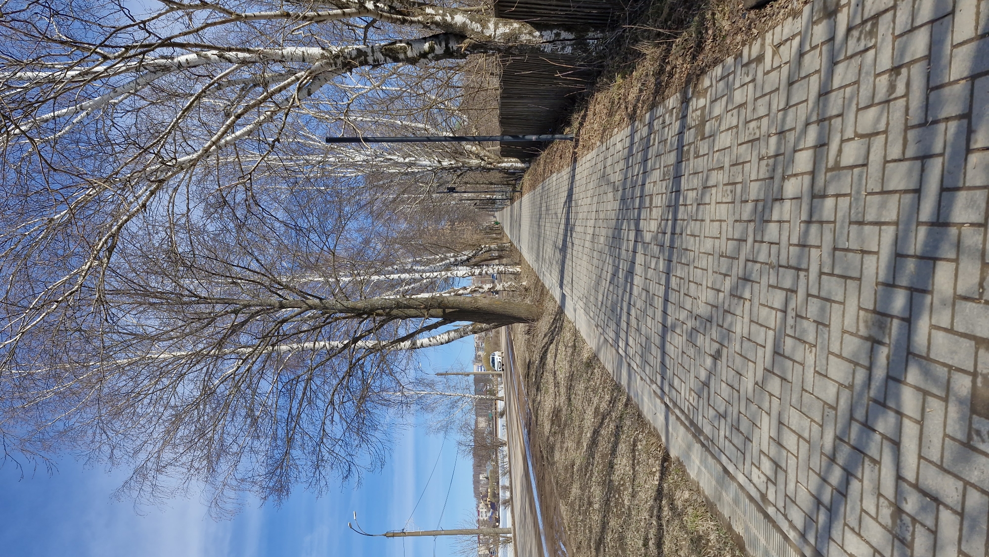 The image depicts a paved walkway in Otchor, Russia, flanked by bare birch trees along one side and a fence on the other. The walkway is constructed of rectangular paving stones laid in a herringbone pattern, with shadows cast across its surface. Beyond the trees, a street with utility poles and glimpses of buildings are visible under a clear blue sky. There are no people visible in the image.