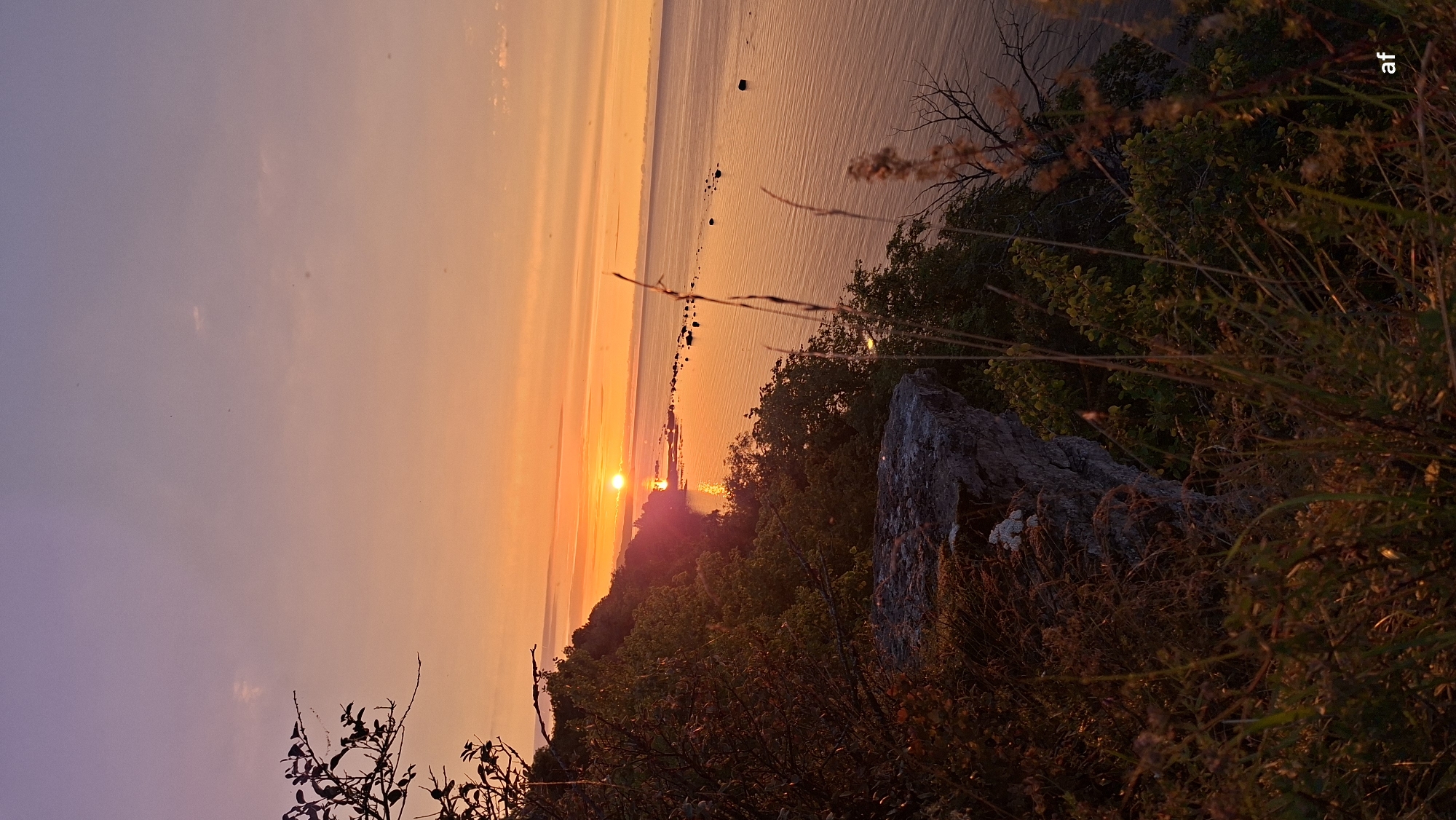 The image depicts a sunset over the Baltic Sea, viewed from a cliffside in Tabasalu alevik, Estonia. The sun, a bright orange orb, is low on the horizon, casting a warm, golden glow across the sky and water. The sky transitions from a soft pink and purple near the top to a vibrant orange and yellow as it approaches the sun. The sea is calm, with gentle ripples reflecting the colors of the sky. Along the coastline, rocks and small islands are visible, with a line of trees and vegetation clinging to the cliff face. The foreground is dominated by overgrown grass and some branches of trees, adding depth to the scene. The overall atmosphere is serene and picturesque.