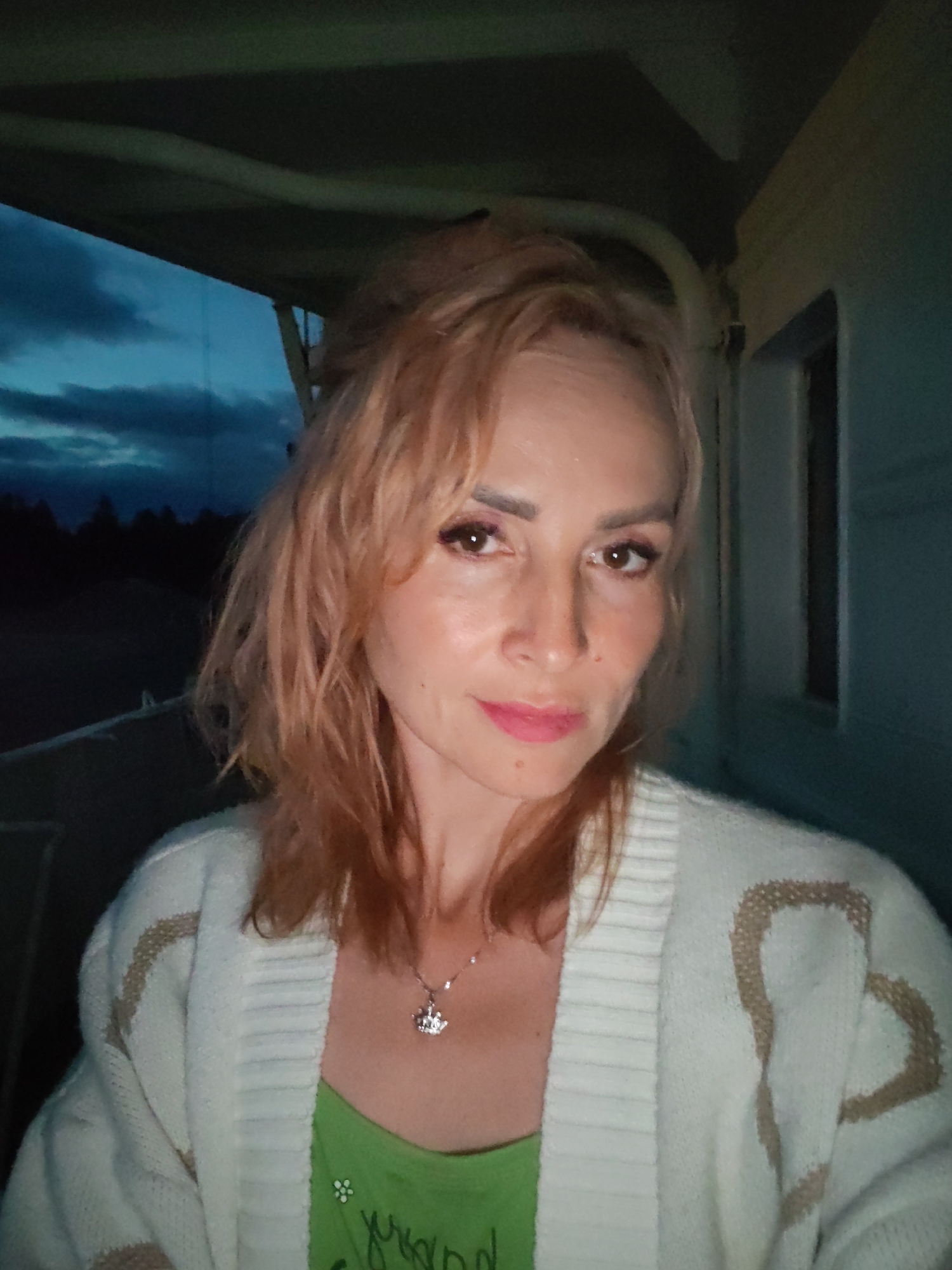 A medium shot captures a fair-skinned woman with light brown hair styled in a messy bun, looking directly at the camera. She is wearing a white cardigan with a pattern of light brown hearts, over a green tank top. A silver necklace with a crown pendant rests on her chest. Her makeup includes pink lipstick and eye shadow. The background appears to be outdoors at dusk, with a dark, cloudy sky visible above a silhouette of trees. Part of a structure with a dark overhang is visible in the upper left of the frame, and a dark wall with a window is to the right. The image is likely taken at night or twilight. There is no specific information or context provided to place the location in Shalsky, Russia.