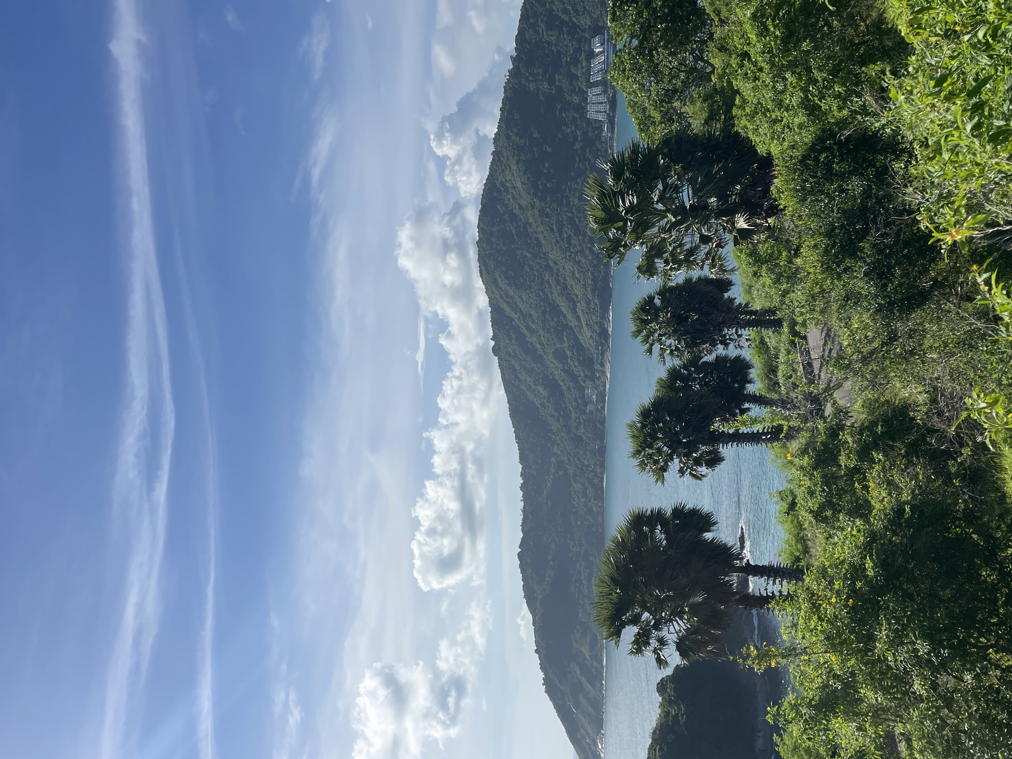 A scenic vista captures the lush, green coastline of Rawai, Thailand, under a bright blue sky dotted with scattered white clouds. In the foreground, dense green foliage and several palm trees frame the view. Beyond the trees, a calm, turquoise sea stretches out to meet a large, verdant mountain that dominates the background. Along the base of the mountain, a cluster of white buildings is visible, suggesting a resort or residential area. The image appears to be taken from an elevated position, offering a panoramic perspective of the tropical landscape.