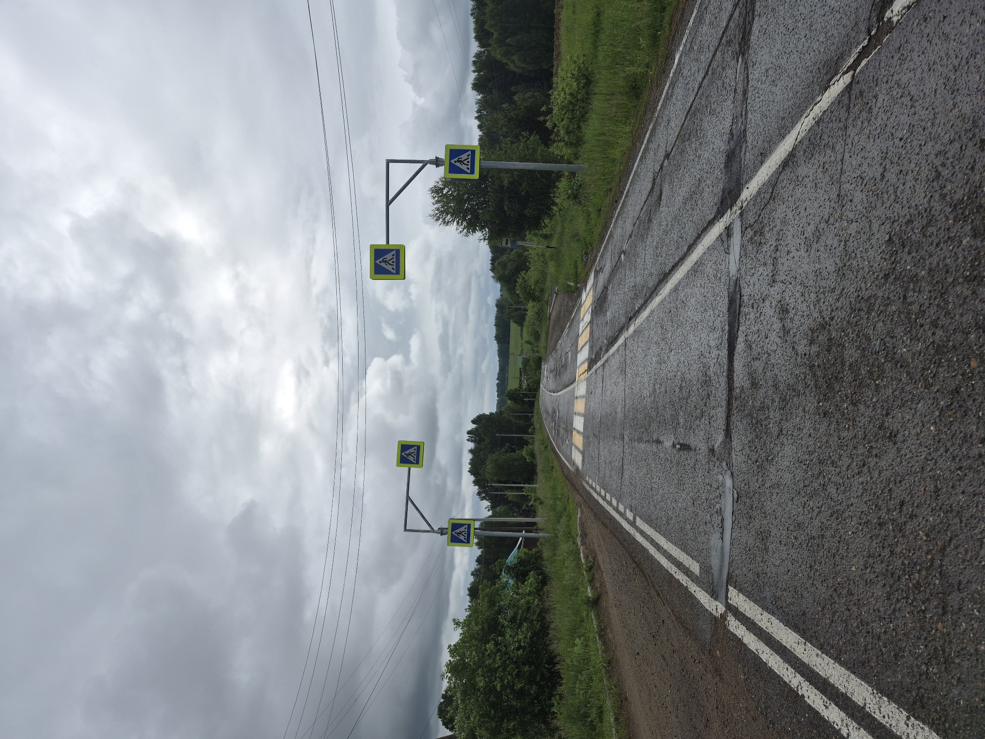 This image depicts a rural or semi-rural road segment in Kharnavy, Russia, under an overcast sky. The asphalt roadway appears damp or recently wet, exhibiting signs of extensive wear including cracks, uneven surfaces, and multiple dark patch repairs. A distinct "zebra" pedestrian crossing, marked with faded yellow and white stripes, is centrally located across the road in the foreground. Road markings include a double solid white line delineating the left edge and a single dashed white line on the right, separating the main lane from the shoulder.
Four square pedestrian crossing signs, each displaying a white walking figure on a blue background within a bright yellow border, are present. Two of these signs are affixed to a tall, grey metallic pole on the left side of the road, arranged in a T-shape structure above the pavement. The remaining two signs are similarly mounted on a corresponding metallic pole on the right side of the road, also forming a T-configuration.
The immediate environment on both sides of the road is densely vegetated with various shades of green, consisting of tall trees, numerous bushes, and unkempt grass along the shoulders. In the background, the landscape extends into rolling hills or fields heavily covered with trees. Multiple dark utility lines run horizontally across the upper third of the image. Visible utility infrastructure includes a wooden pole on the left behind the pedestrian crossing sign and another pole further down the road on the right. A faint, light-colored structure, potentially a bus stop shelter, is partially visible on the right side of the road behind the signs. The sky is uniformly grey and heavily overcast, contributing to diffused lighting conditions across the scene. No people, vehicles, or animals are present in the image.