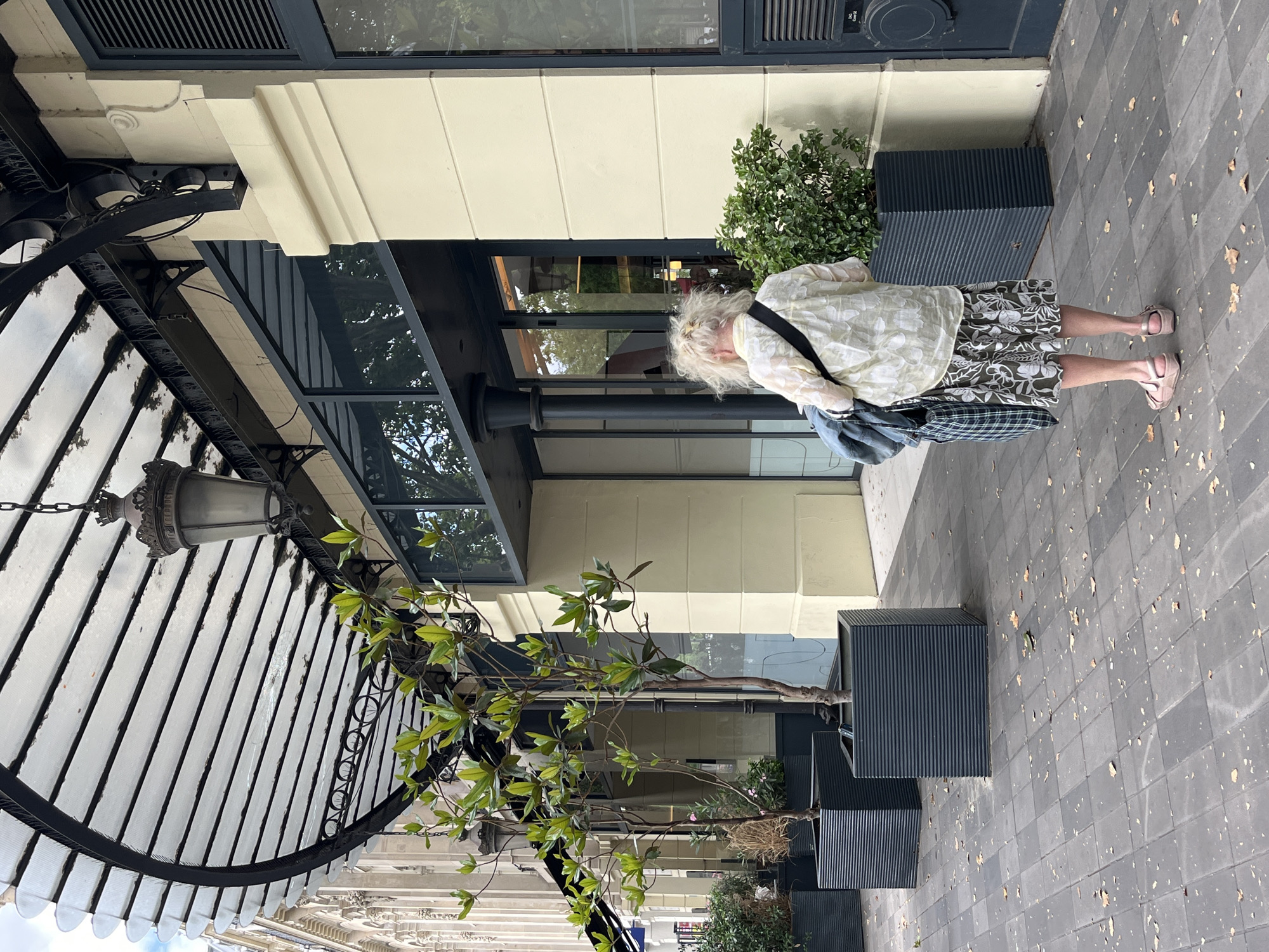 A woman with blonde hair is standing on a paved sidewalk in front of a building. She is wearing a light-colored patterned shirt and a patterned skirt. The woman has a bag slung over her shoulder. She is looking down at the ground. To her right, there are two large, dark planters with greenery. Behind her, the building has a cream-colored facade and dark windows. An awning with a black metal frame and translucent panels is visible on the left side of the image, with a vintage-style lamp hanging from it. A tree with green leaves is planted in a planter near the awning. The ground is paved with dark square tiles, and fallen leaves are scattered across them, suggesting an autumn day. The scene appears to be in an urban environment, possibly a street or plaza. There is no visible text in the image.