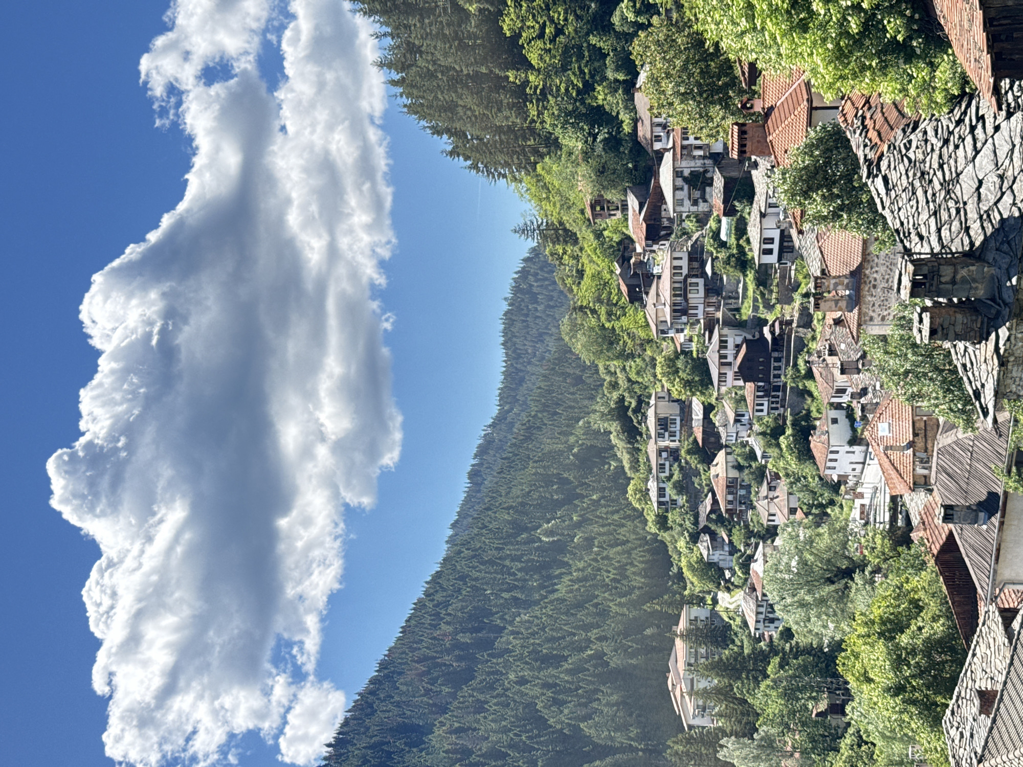 The image depicts a village nestled in a valley, with dense evergreen forests covering the steep slopes on either side. A bright blue sky with scattered white clouds forms the backdrop. The village itself is characterized by traditional architecture, with numerous houses featuring terracotta tiled roofs and stone or white-washed walls. Many of these houses are built on the hillside, creating a terraced effect. Some of the buildings appear older, with stone foundations and chimneys, while others are larger and more modern. The area is lush with green vegetation, including trees and bushes that surround and are interspersed among the buildings. A narrow road or pathway can be seen winding through the village. This is a view of the village of Shiroka Laka in Bulgaria. There are no people visible in the image.