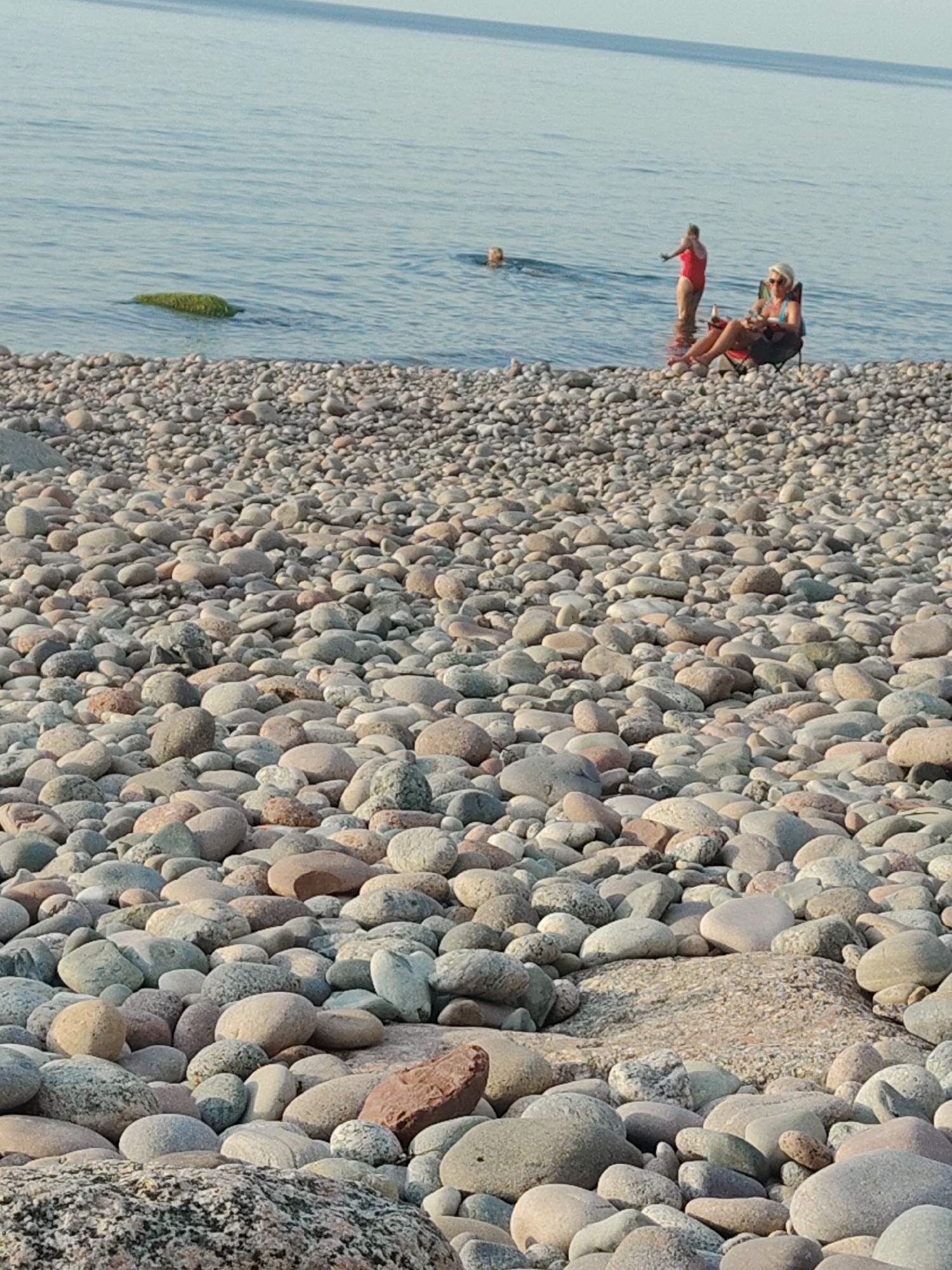 The image depicts a pebble beach with the Baltic Sea in the background. Several people are present. In the water, a person wearing a red swimsuit stands with their back to the camera, facing away from the shore. Further out in the water, another person's head is visible above the surface. On the shore, a woman sits in a folding chair, facing the water and appears to be holding a drink and a plate. The beach is covered in a dense layer of smooth, gray, and tan pebbles of varying sizes. A large, moss-covered rock is visible in the shallow water near the shore. The sky is a pale blue, and the water is calm and slightly hazy. The scene is located in Pionersky, Russia, which is a coastal city known for its beaches.