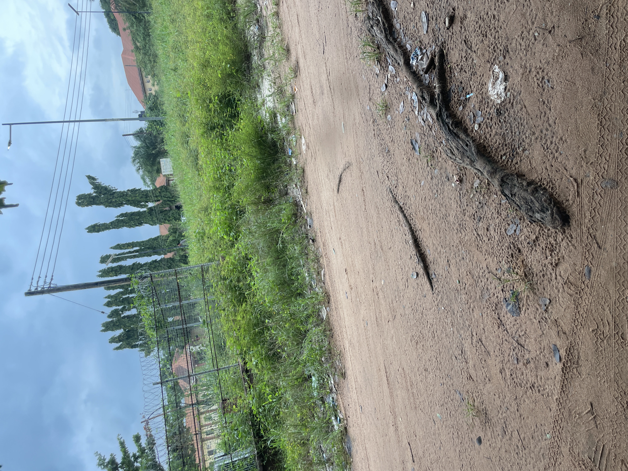 The image depicts a dirt road in Ihiagwa, Nigeria, with lush green vegetation and several buildings in the background. The sky is overcast, suggesting cloudy weather. A tall barbed-wire fence runs along the left side of the road, separating it from the overgrown area. The road itself is unpaved and shows tire tracks, indicating vehicle activity. Scattered debris, including plastic waste, is visible along the roadside and on the road. In the foreground, a large, gnarled tree root lies on the dirt, adding a natural element to the scene. Electrical poles and wires are present in the background, suggesting the presence of infrastructure. The overall impression is one of a developing urban or semi-urban area, with elements of both natural landscape and human development.