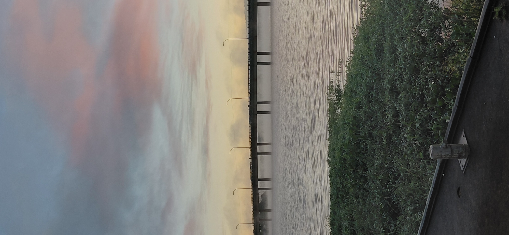 The image captures a bridge crossing a body of water at sunrise or sunset, likely the San Roque González de Santa Cruz Bridge in Encarnación, Paraguay. The sky is painted with soft hues of pink, blue, and yellow, indicating either dawn or dusk. A gentle mist or fog hovers over the water, partially obscuring the bridge's lower supports and creating an ethereal atmosphere. The bridge itself is a long, elevated structure supported by numerous pillars. Cars can be seen traversing the bridge, and a few streetlights are visible along its length, illuminating the path. On the water's surface, gentle ripples suggest calm conditions. In the foreground, dense green foliage lines the bank, and a concrete bollard stands near the edge of a paved area, hinting at a waterfront promenade or pathway.