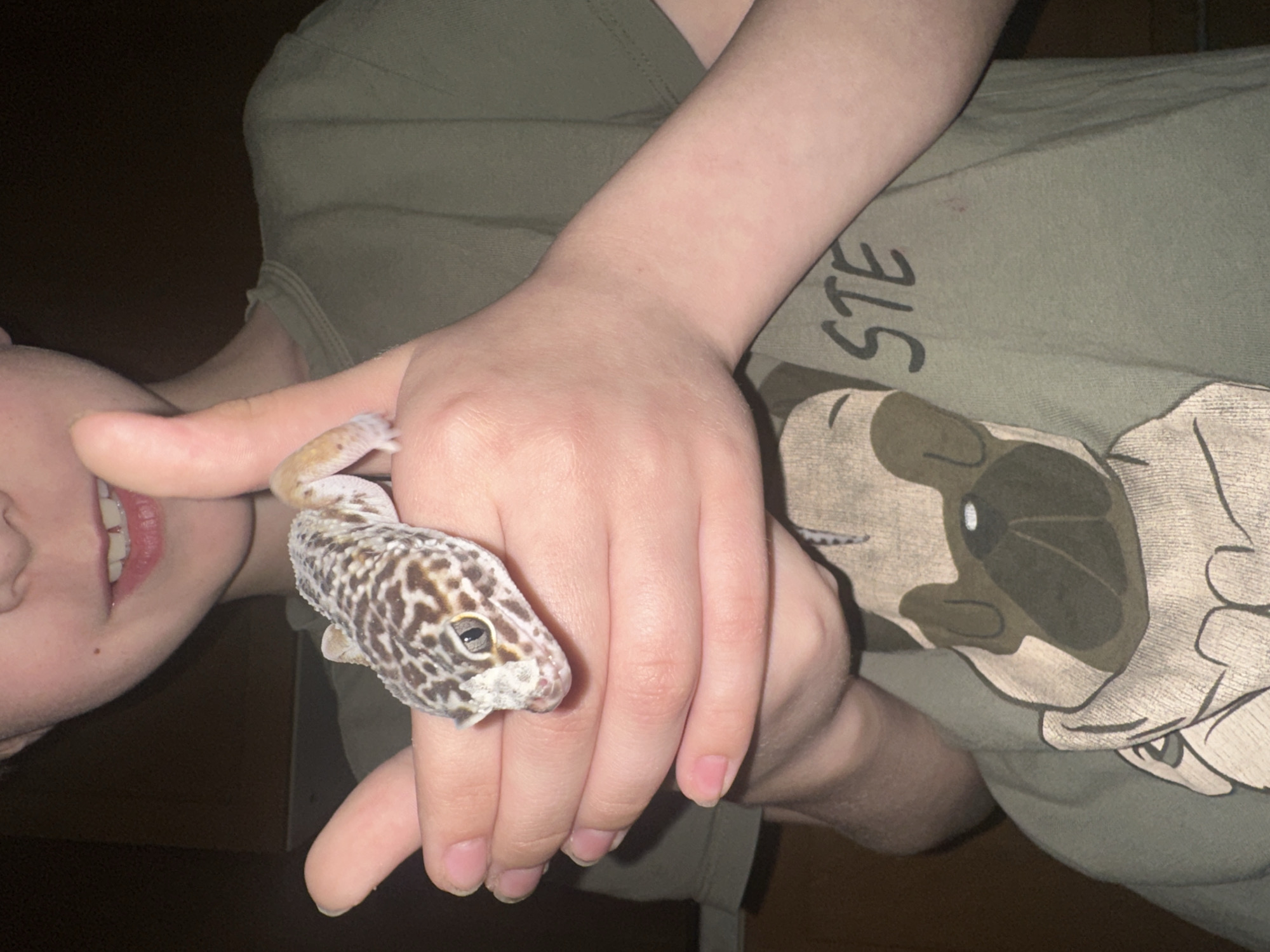 A person, viewed from above and slightly to the side, holds a leopard gecko on their hand. The gecko is primarily white with brown and black spots. The person appears to be wearing a green t-shirt with a graphic print. The background is dark and indistinct. The location is unknown; there is no indication this is in Moscow, Russia.