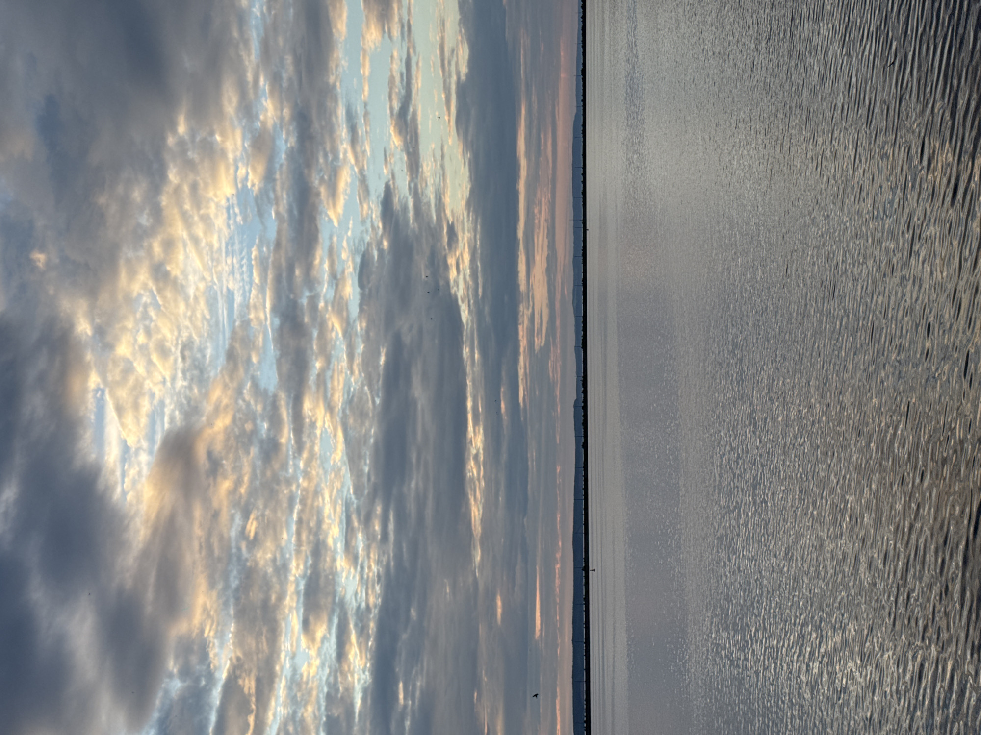 A wide shot captures a body of water reflecting a dramatic sky filled with clouds tinged with pink and orange from the setting sun. The horizon is marked by a dark, distant landmass punctuated by faint, silhouetted structures that may be wind turbines or transmission towers. The water's surface is textured with small ripples, suggesting a gentle breeze. In the foreground, the water is predominantly gray, with highlights from the sky's light scattered across its surface. There are no visible people or specific identifiable landmarks to pinpoint the location within Chaikovsky, Russia, beyond the general depiction of a waterfront landscape. A small, triangular marker or buoy is visible in the water near the horizon line. Several birds are depicted in flight against the sky.