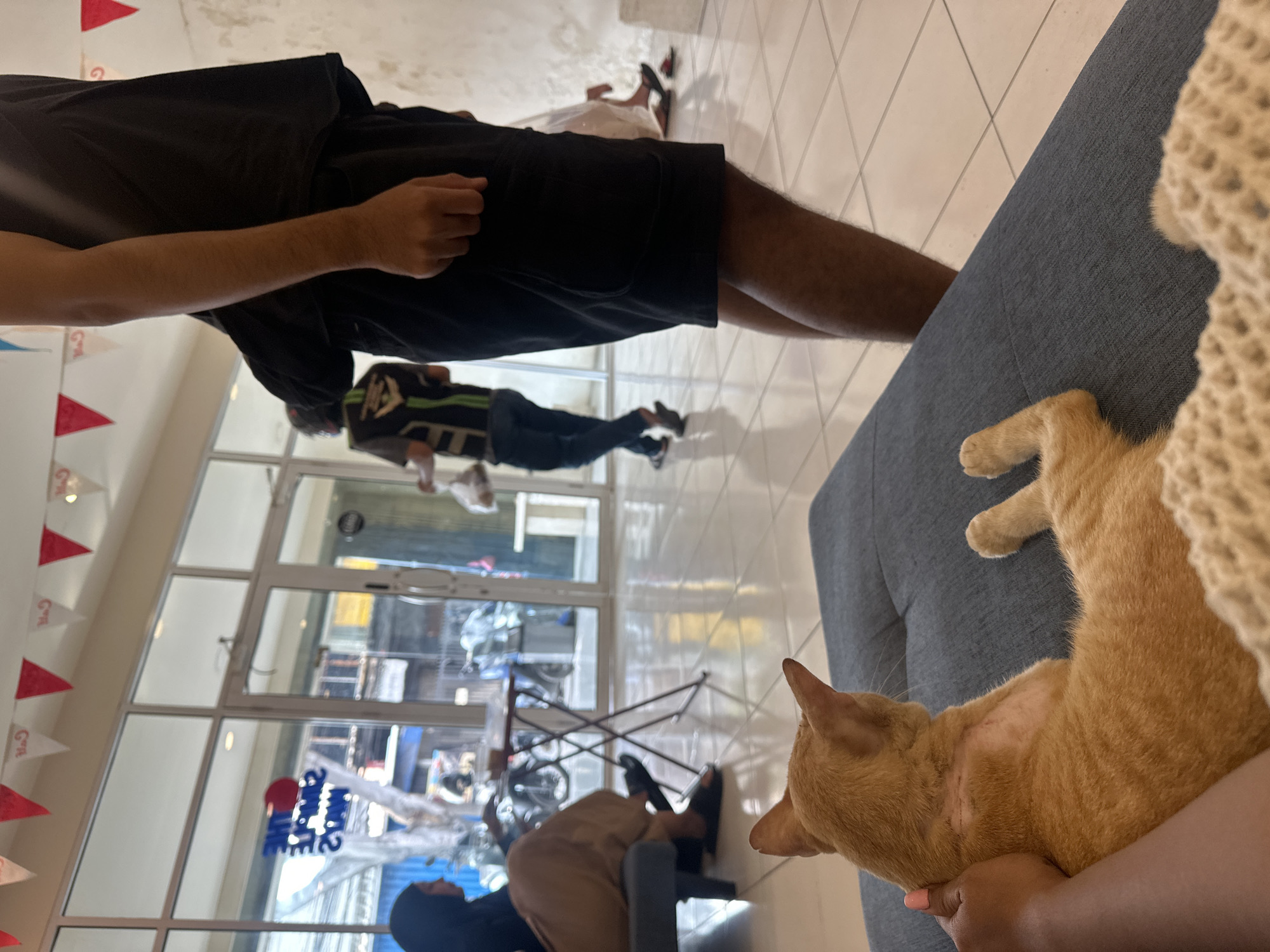 In an indoor setting, a light orange cat is being held by a dark-skinned person wearing a beige knit sweater and sitting on a gray couch. In the background, visible through a glass wall, are several people sitting and standing in what appears to be a commercial space. The building is adorned with a decorative red and white triangle garland. Outside the glass wall, a street scene is visible, featuring bicycles, pedestrians, and storefront signage, including the phrase "The Sale". The location appears to be in a city setting, identified as Central Jakarta, Indonesia, based on the visible signage.
