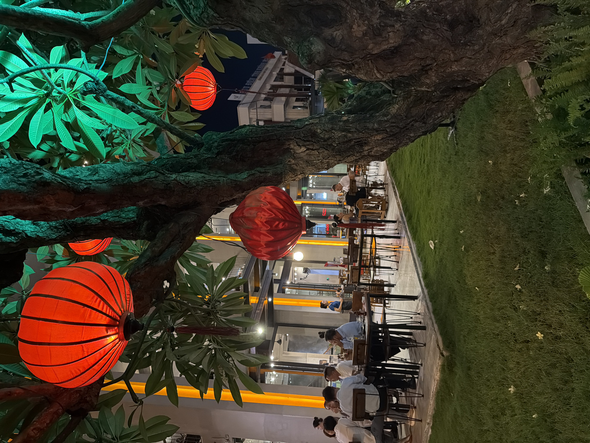The image depicts an outdoor dining area at dusk or night in a tropical setting, possibly in Nha Trang Ward, Vietnam. Several people are seated at tables, appearing to be dining or socializing. The scene is illuminated by warm, orange ambient lighting from the restaurant's interior and by several red, cylindrical lanterns hanging from the branches of lush green trees.
The foreground is dominated by the textured bark of a large tree and its broad leaves, with one prominent red lantern casting a warm glow. Beyond the trees, a well-maintained green lawn borders a pathway where tables and chairs are set up. The restaurant itself has a modern architectural style with large windows and visible interior lighting. The overall atmosphere appears relaxed and inviting, suggesting a pleasant evening at a restaurant or cafe.
In the background, a building with signage can be seen, though the text is not clearly legible. The time of day is evening, indicated by the dark sky and artificial lighting. The weather appears to be clear, suitable for outdoor dining. The presence of tropical foliage suggests a warm climate.