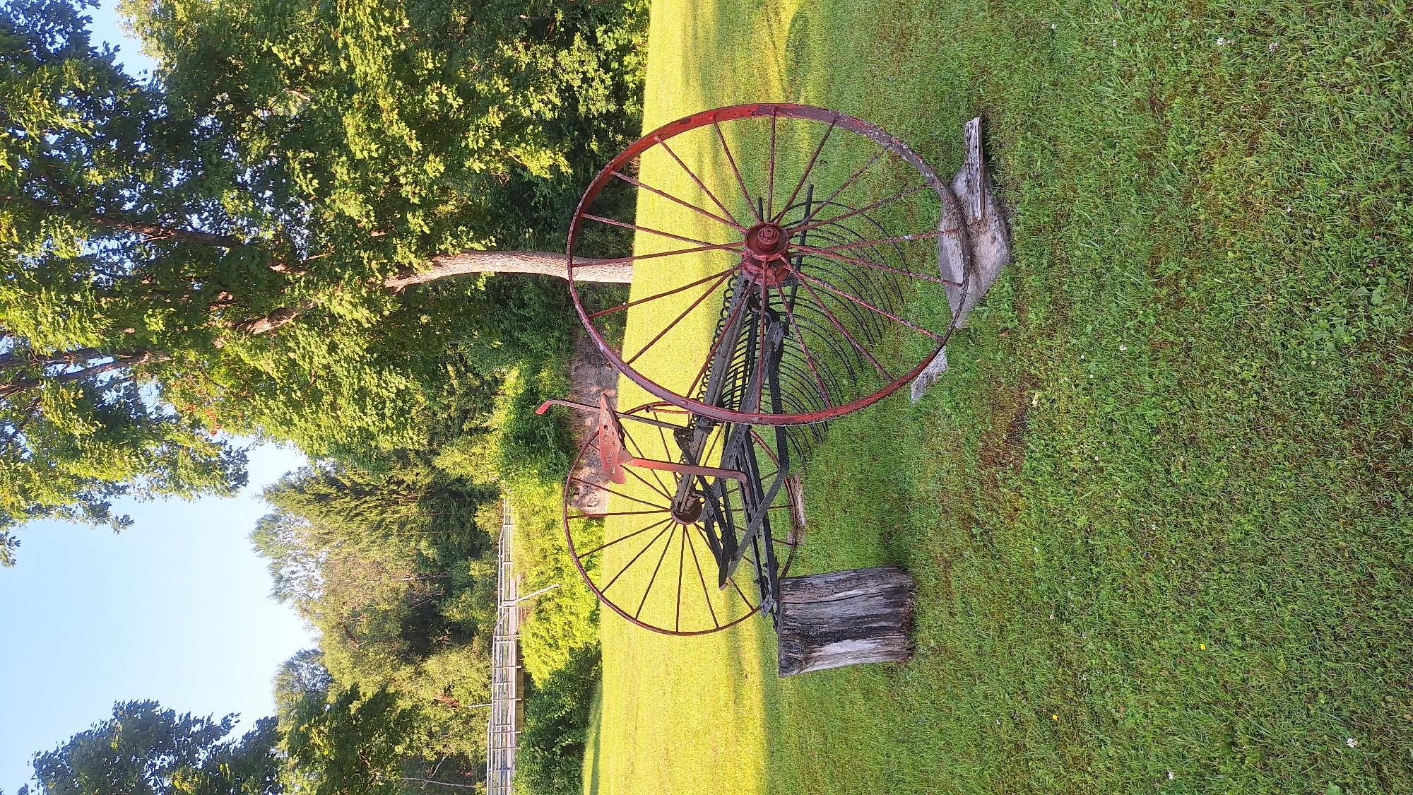 A low-angle, full shot captures an antique hay rake resting on a grassy field under a clear, pale blue sky and dappled sunlight. The rake, a rustic piece of farm equipment, features two large, red-rimmed spoked wheels, one prominently in the foreground and the other slightly behind and to the left. Its frame is dark metal, and a red seat with a lever is positioned between the wheels. To the left of the rake, a weathered, grey tree stump stands upright, serving as a visual anchor. The background transitions from the well-maintained lawn to a lush, green treeline, with a hint of a wooden structure, possibly a bridge or walkway, visible in the distance amongst the foliage. The overall scene evokes a sense of rural tranquility. The location is Lēdmane, Latvia.