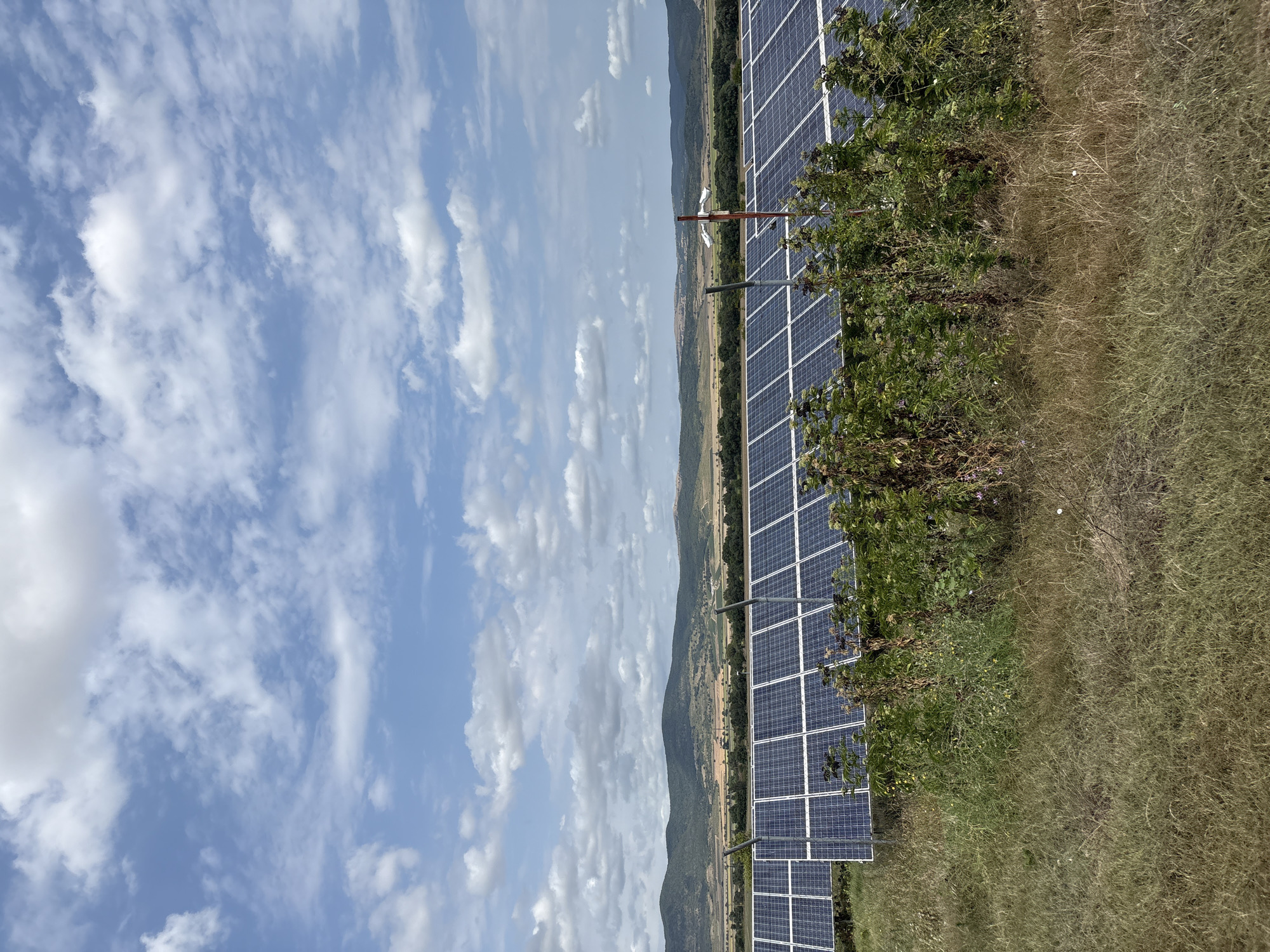 A large solar farm stretches across a landscape under a partly cloudy sky. In the foreground, dry, brown and green grass is visible, with some sparse green vegetation and bushes in front of the solar panels. The solar panels, arranged in long rows, dominate the middle ground, reflecting the light. Behind the solar farm, rolling hills covered in green trees and patches of yellow fields recede into the distance. The sky is a pale blue with scattered white clouds. The scene appears to be located in a rural area, possibly on the outskirts of Poroy, Bulgaria. No people or animals are present in the image.