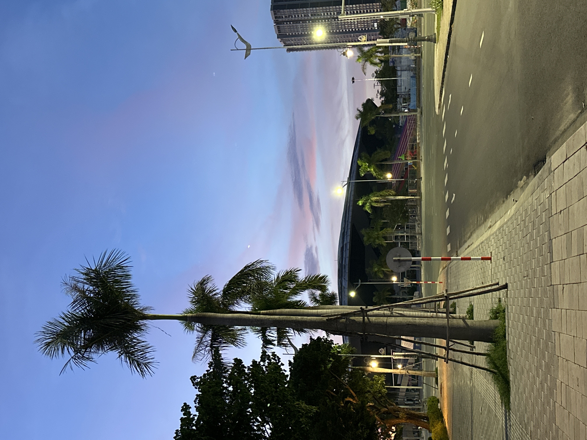 The image depicts a street scene at dusk in the city of Da Nang, Vietnam, likely near the Dragon Bridge or another prominent waterfront area. In the foreground, a paved sidewalk with a brick pattern runs alongside an empty asphalt road. Several tall palm trees, with visible support structures for the younger ones, line the sidewalk.
In the background, a large, modern building with a curved roof, possibly a convention center or stadium, is visible. To the right, a tall, multi-story building with numerous windows stands prominently. Streetlights illuminate the scene, casting a warm glow on the pavement and road. The sky above displays a gradient of blue with hints of pink and purple, indicating the transition from day to night. The overall atmosphere is serene and quiet, with no people or vehicles present in the frame.