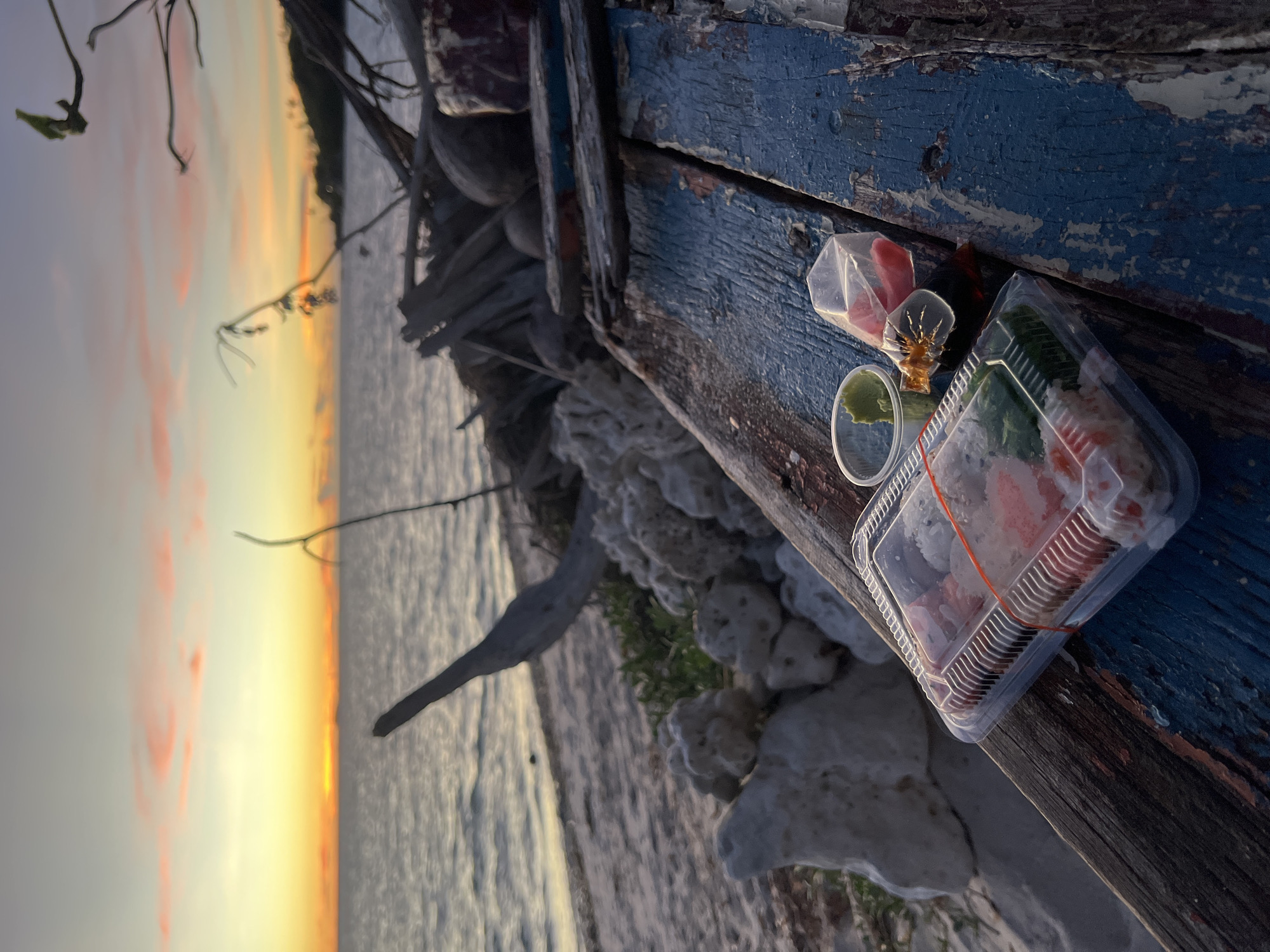 The image depicts a still life of a takeout sushi container, small sauce containers with green wasabi and red pickled ginger, and a bottle of soy sauce. These items are placed on a weathered, blue-painted wooden surface, which appears to be part of an old boat or structure.
In the background, a serene beach scene unfolds with the calm sea reflecting the soft hues of a sunset or sunrise. The sky is painted with delicate strokes of pink and yellow, suggesting either the end of the day or the beginning of a new one. Driftwood and scattered white coral pieces are visible along the shoreline, adding a natural and slightly rugged element to the setting. The overall mood is peaceful and contemplative, with the vibrant food items contrasting slightly with the muted tones of the natural surroundings and aged wood.
The location is identified as Koh Phangan, Thailand. There is no visible text in the image.