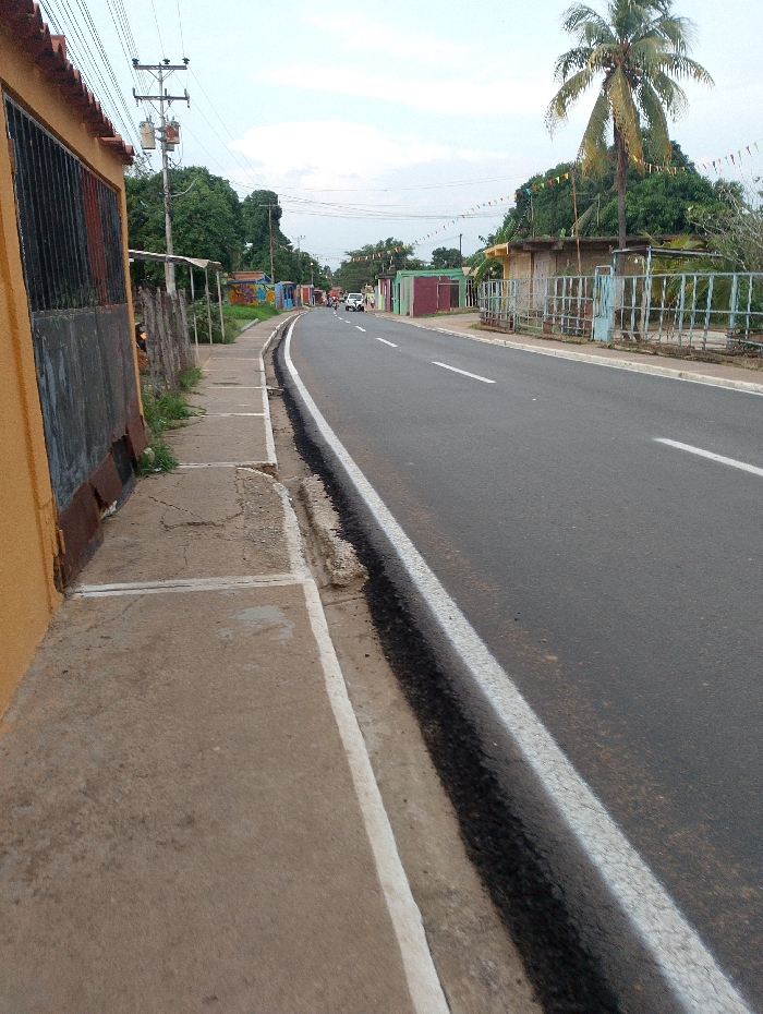 A paved road stretches into the distance, lined with colorful buildings and a sidewalk. A white stripe marks the road's edge. A single palm tree rises tall. Power lines stretch overhead. The sidewalk is cracked and aged, meeting an ochre-colored building with barred windows. A small white vehicle is visible in the distance, and the road gently curves. The sky is overcast.