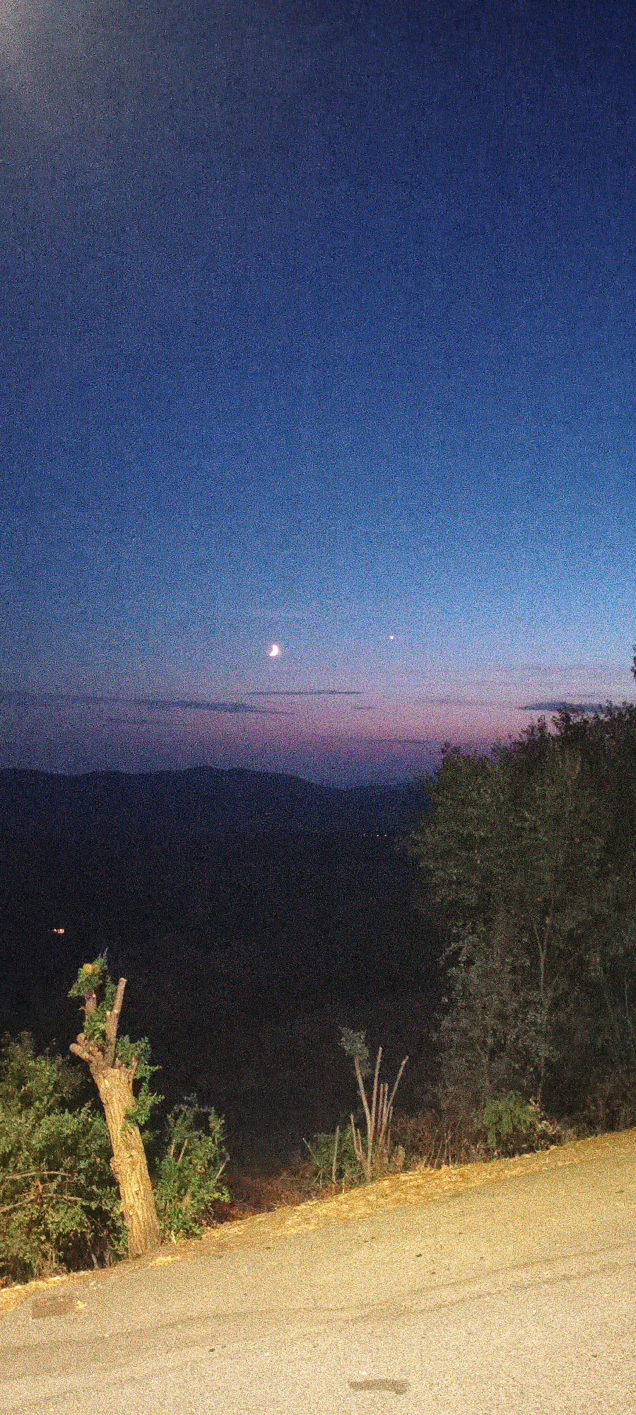 The image depicts a rural landscape at dusk, likely in the vicinity of Campagnatico, Italy, given the context provided. The sky transitions from a deep blue at the top to shades of purple and pink near the horizon, indicating the end of daylight. Two celestial bodies, appearing as a crescent moon and a bright star or planet, are visible in the sky.
In the foreground, a paved road or path curves upwards from the bottom right of the frame. The ground beside the road is covered with dry vegetation and scattered leaves, suggesting a natural environment. To the left of the road, there is a solitary tree with a gnarled trunk and sparse green foliage. Behind this tree, denser vegetation and trees are visible, forming a dark silhouette against the twilight sky. Further in the background, rolling hills or mountains are dimly outlined. Scattered lights, possibly from a distant village or isolated houses, can be seen in the dark expanse of the landscape. The overall scene is characterized by natural elements and a serene, twilight atmosphere. There are no people or animals visible in the image.